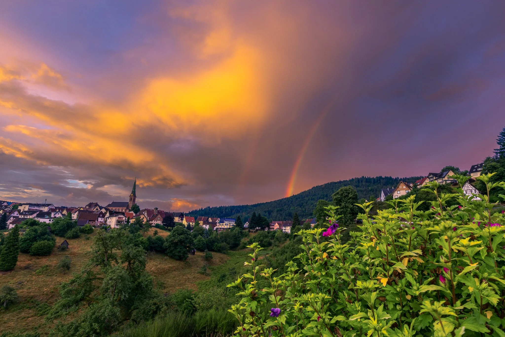 Bermersbach im goldenen Morgenlicht 3 (Querformat)