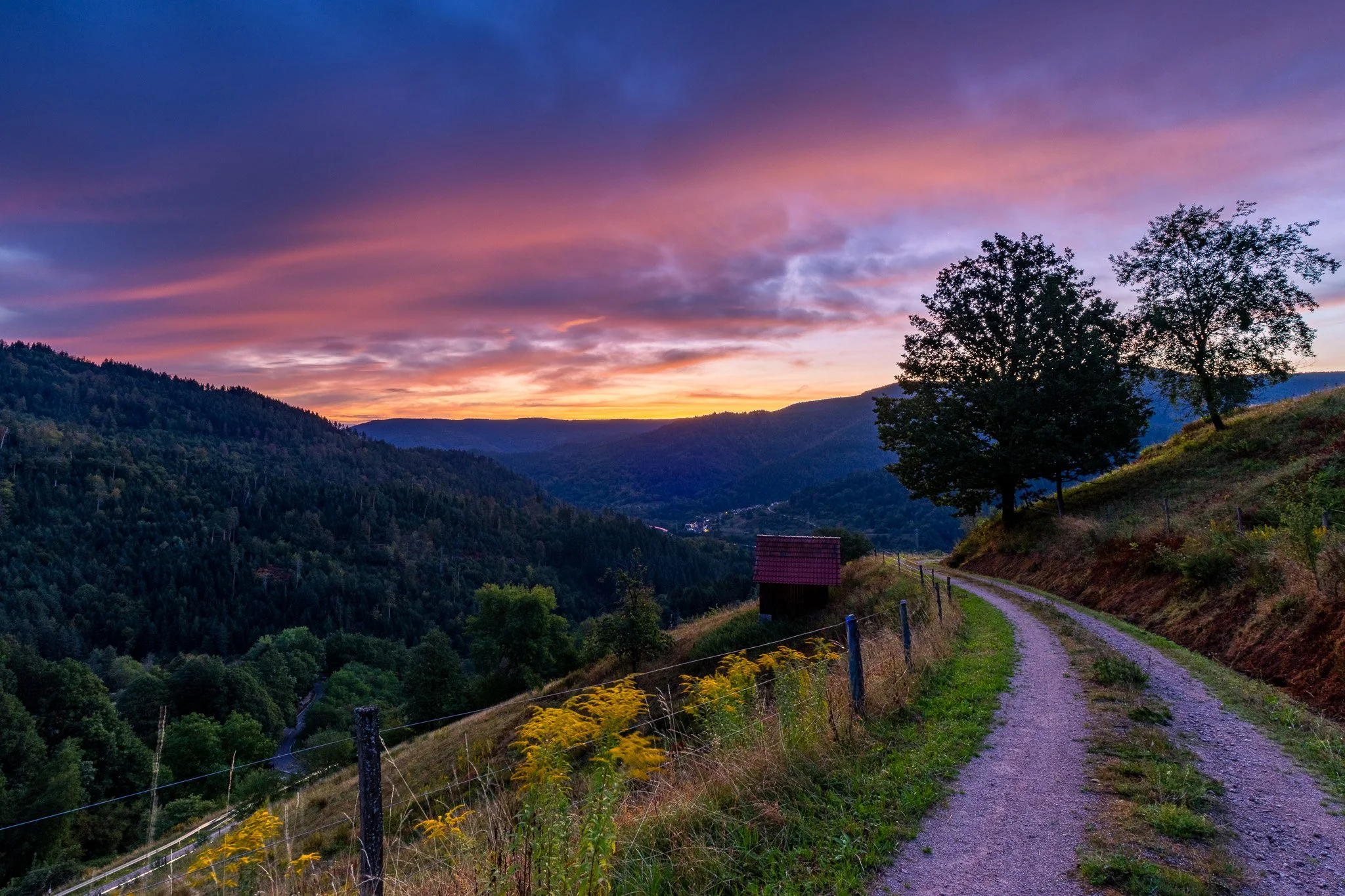 IMG_4707-HDR.jpg