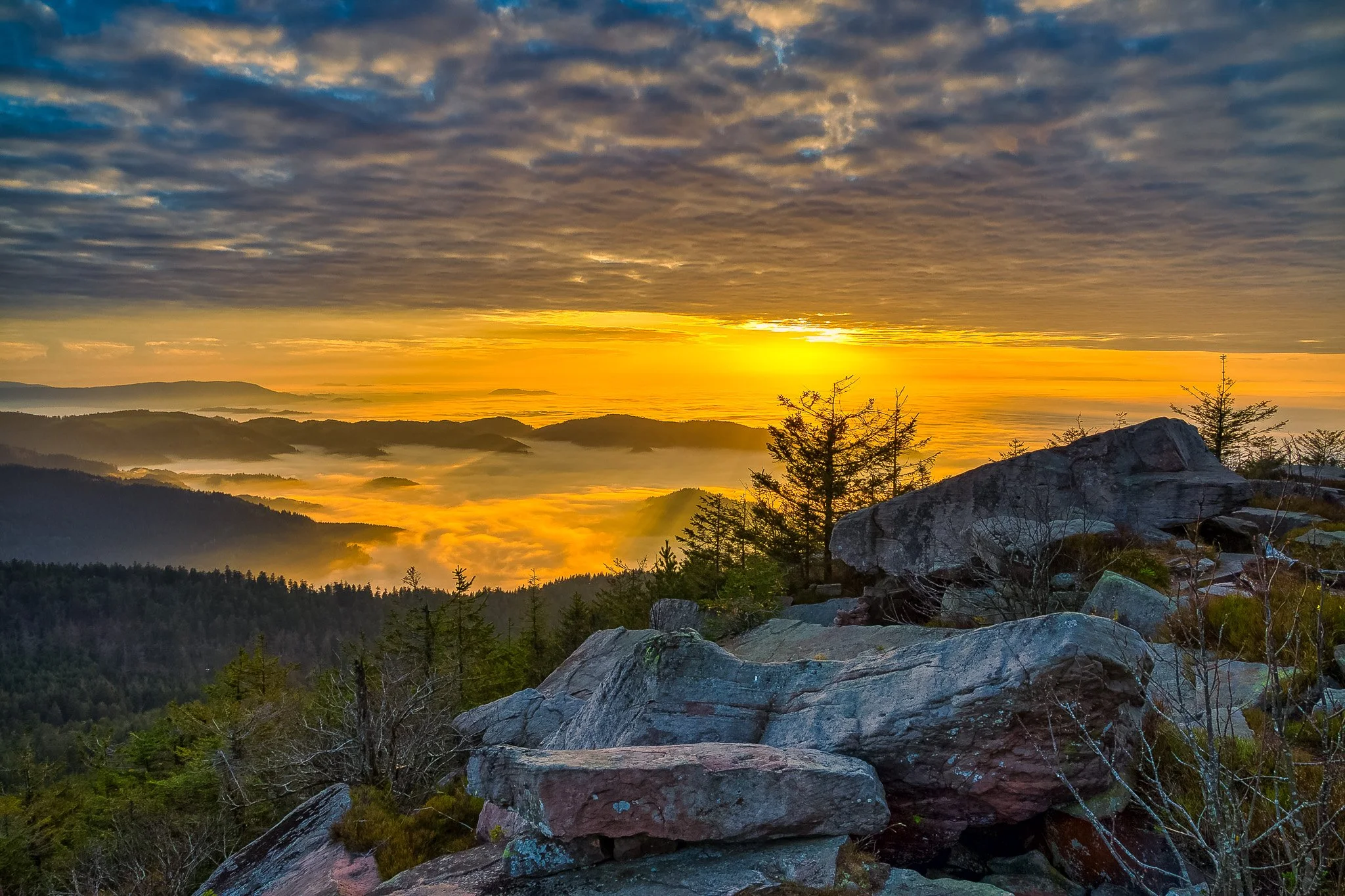 Über dem Nebel (Querformat)