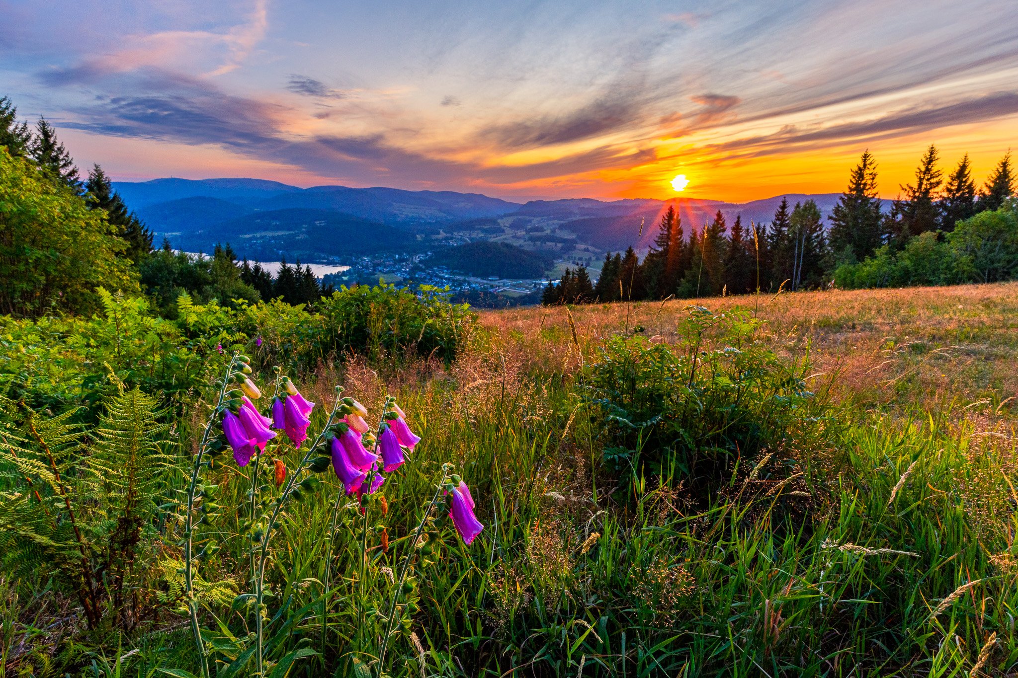 IMG_2864-HDR.jpg