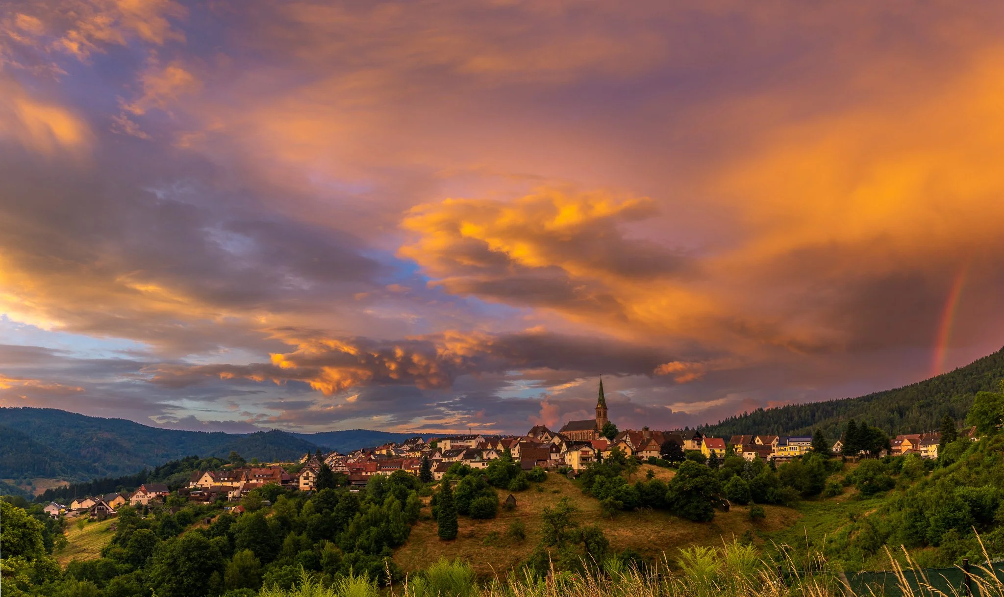 RY7A5424-Pano.jpg