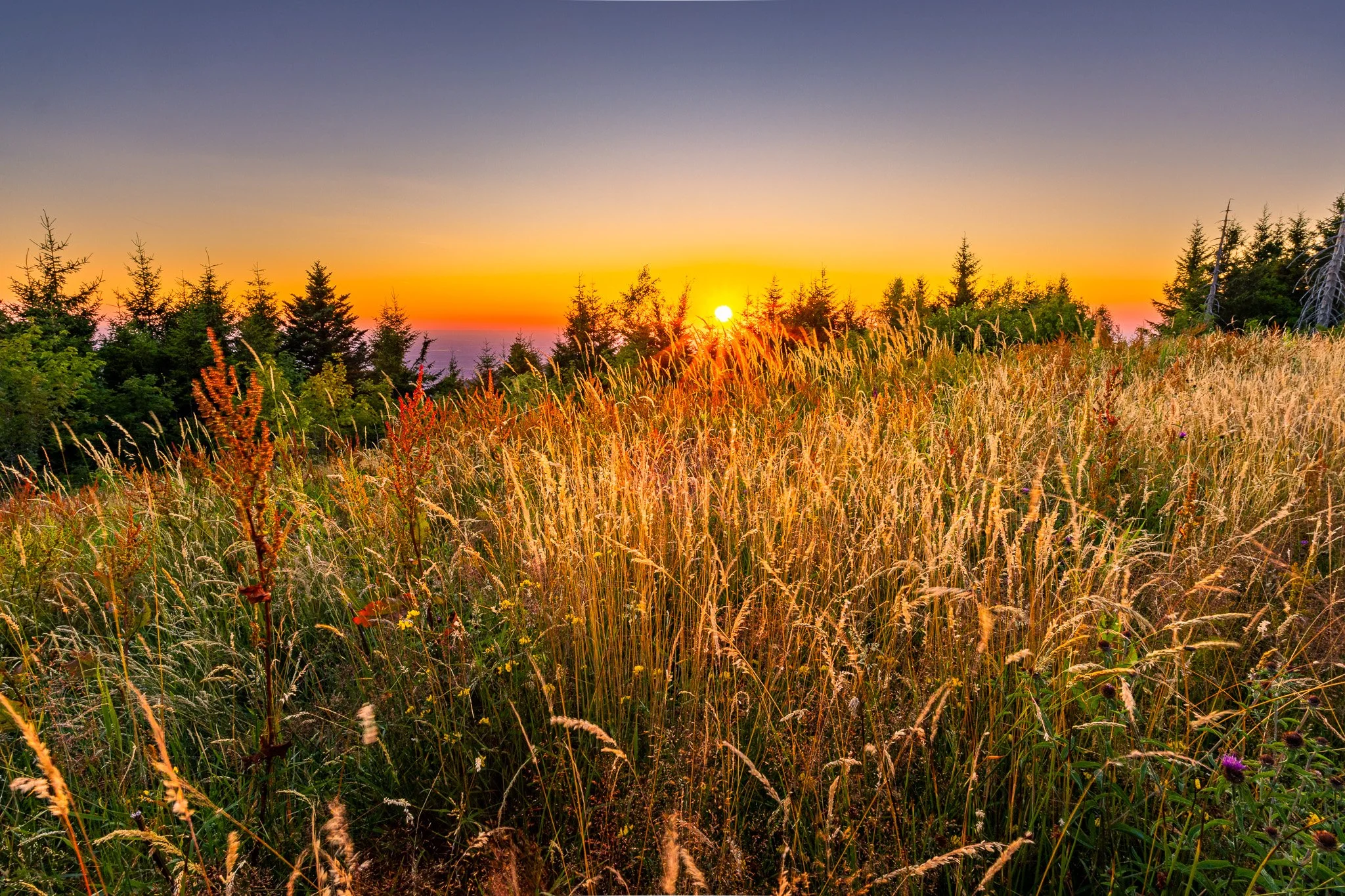 IMG_2314-HDR.jpg