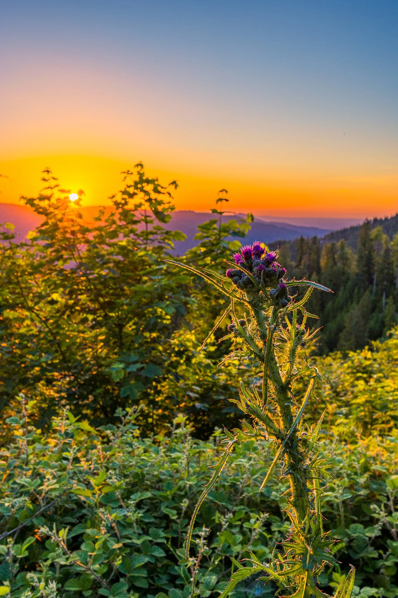 IMG_0746-HDR.jpg