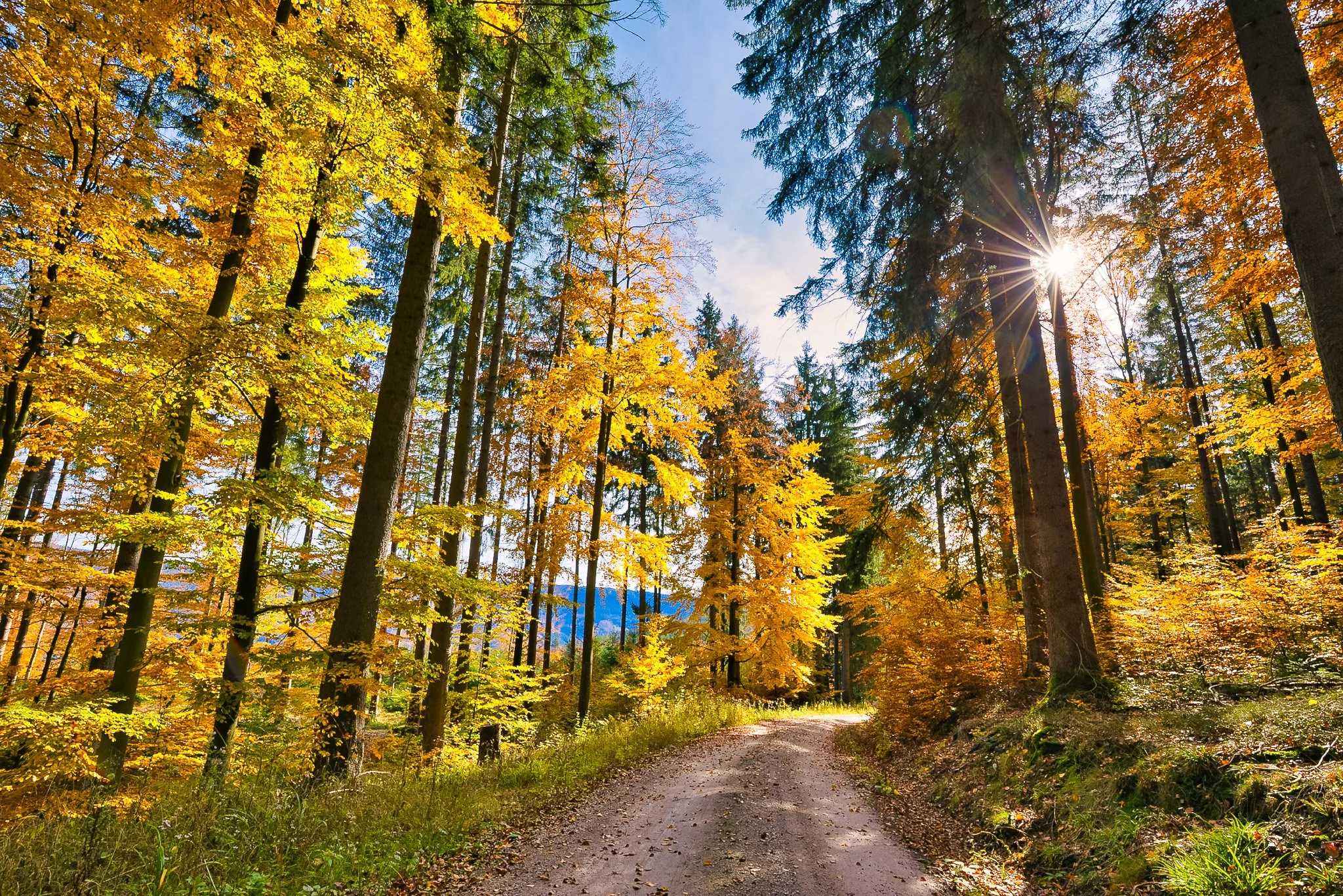 Herbstsblätter (Querformat)