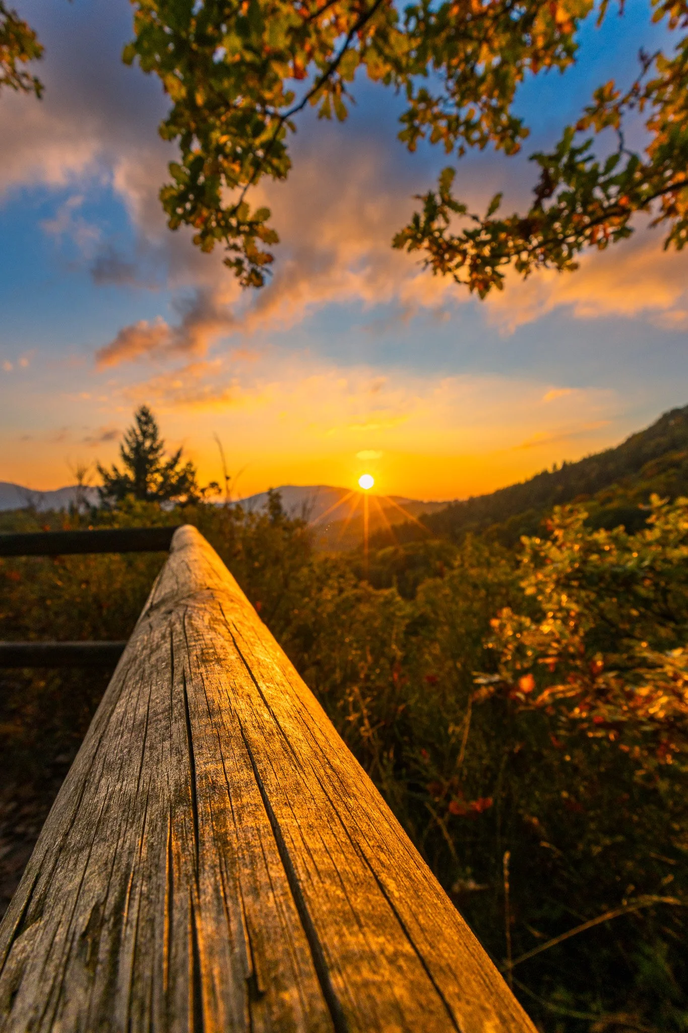 Holzgeländer 1 (Hochformat)