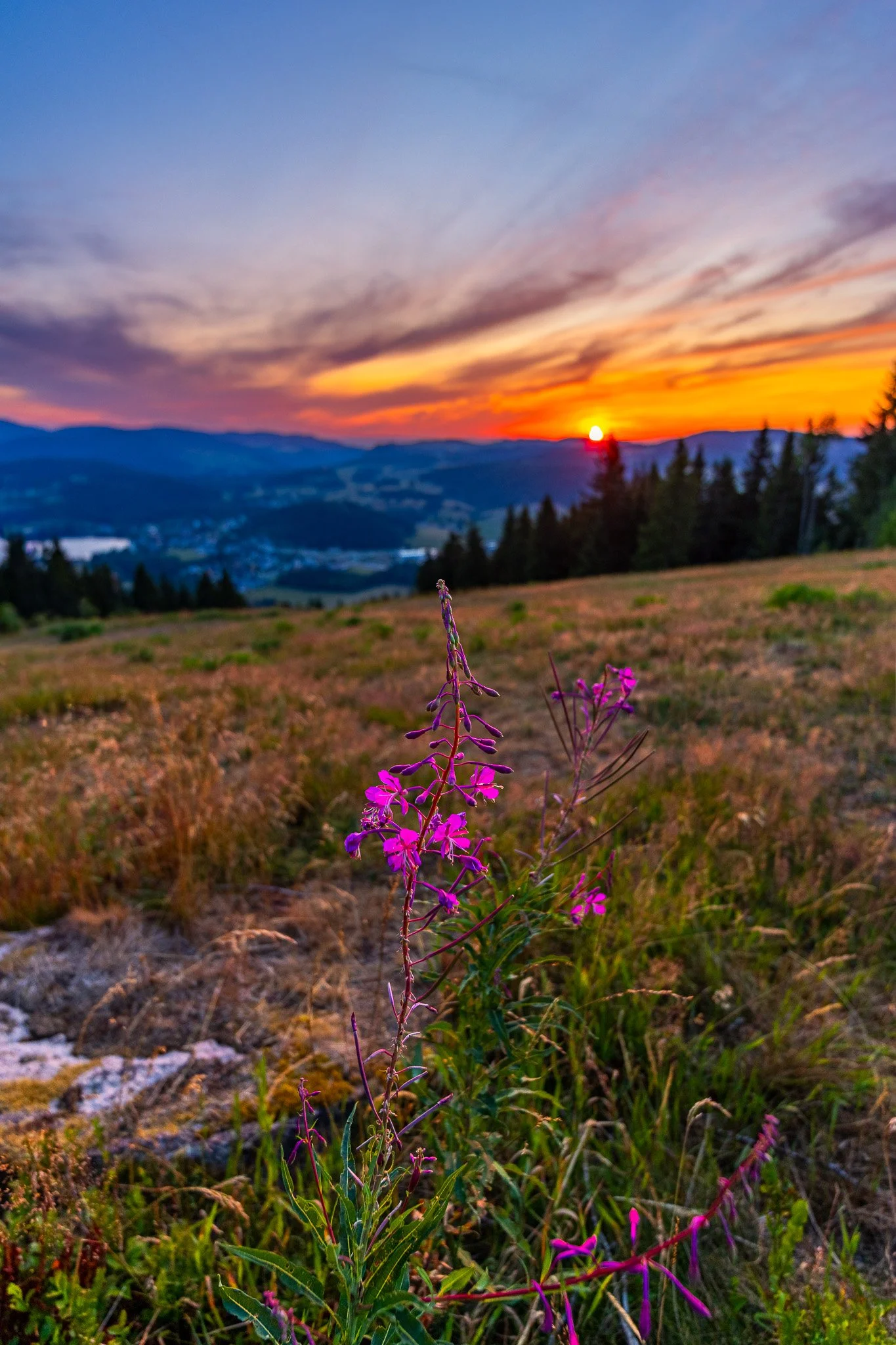 IMG_2942-HDR.jpg