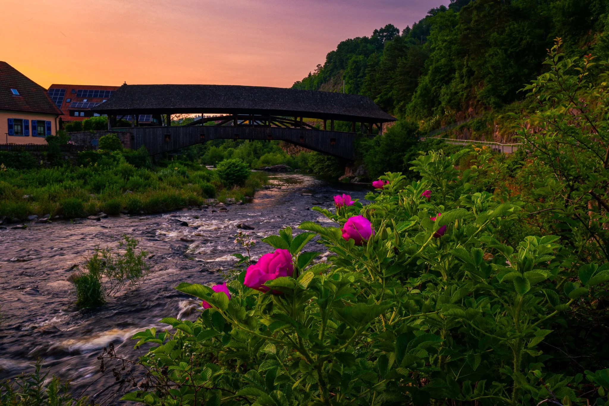 Blumen an der Holzbrücke 1 (Querformat)