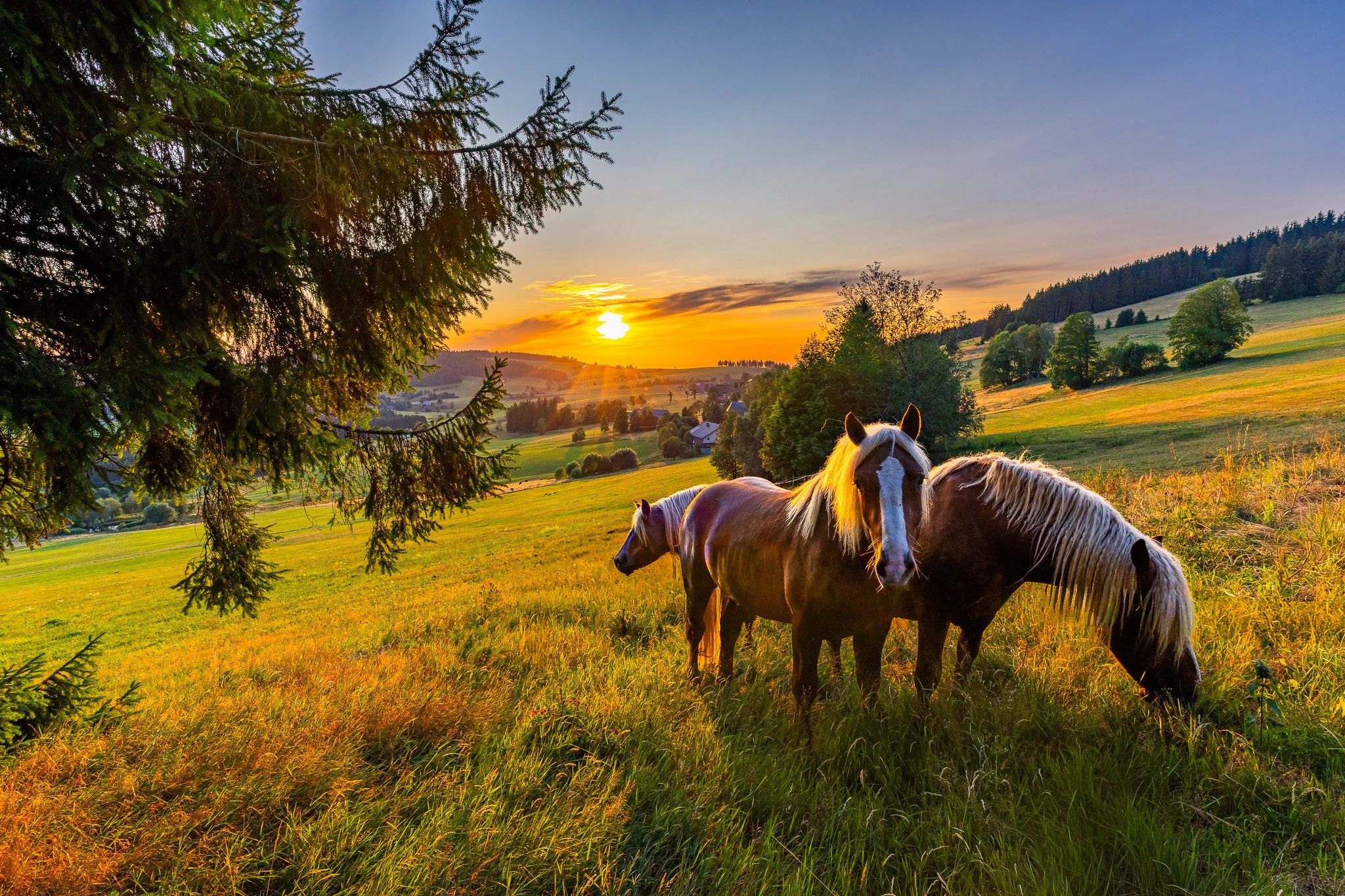 IMG_3014-HDR.jpg