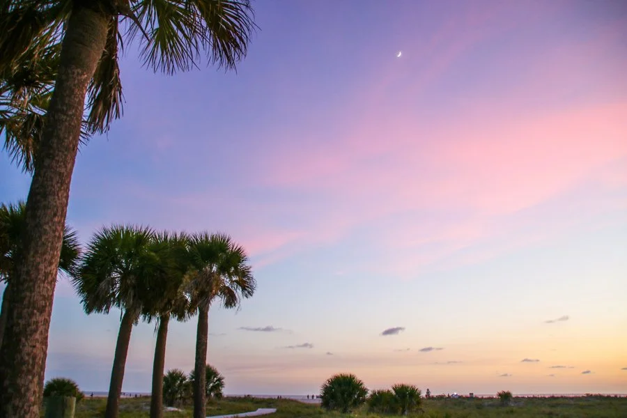 Beach sunset with palm trees in the foreground