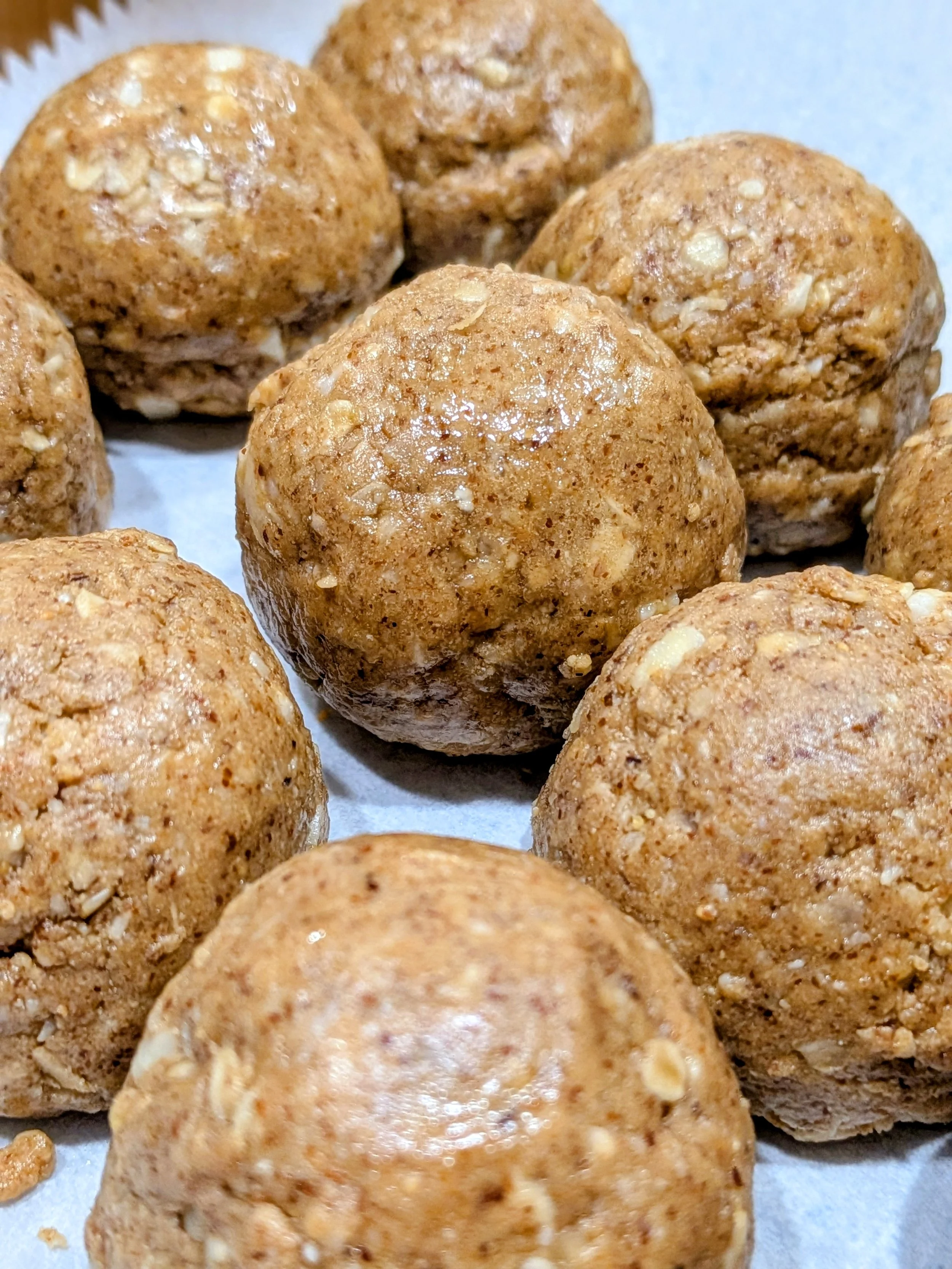 Protein Bites