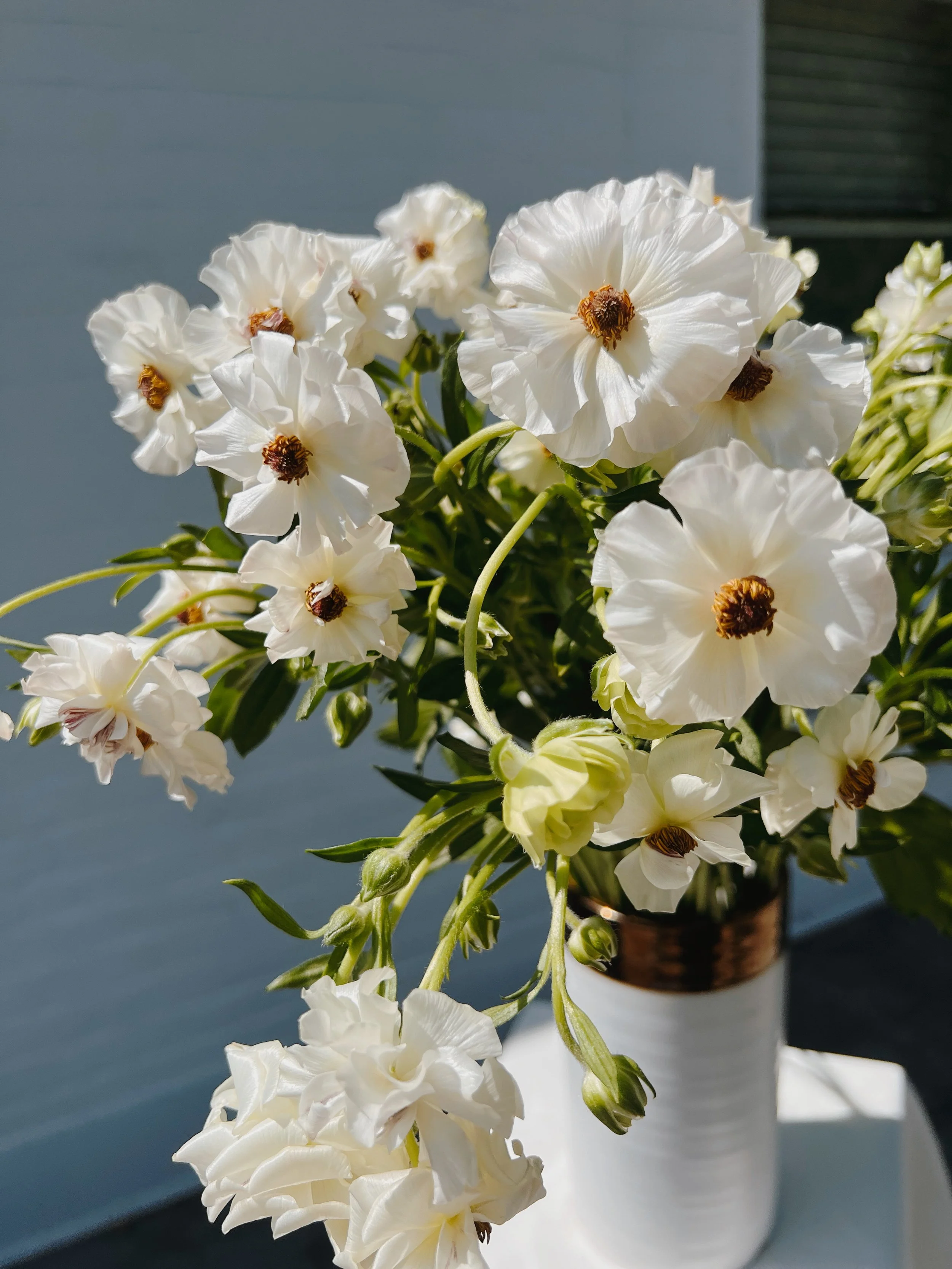 Ranculus