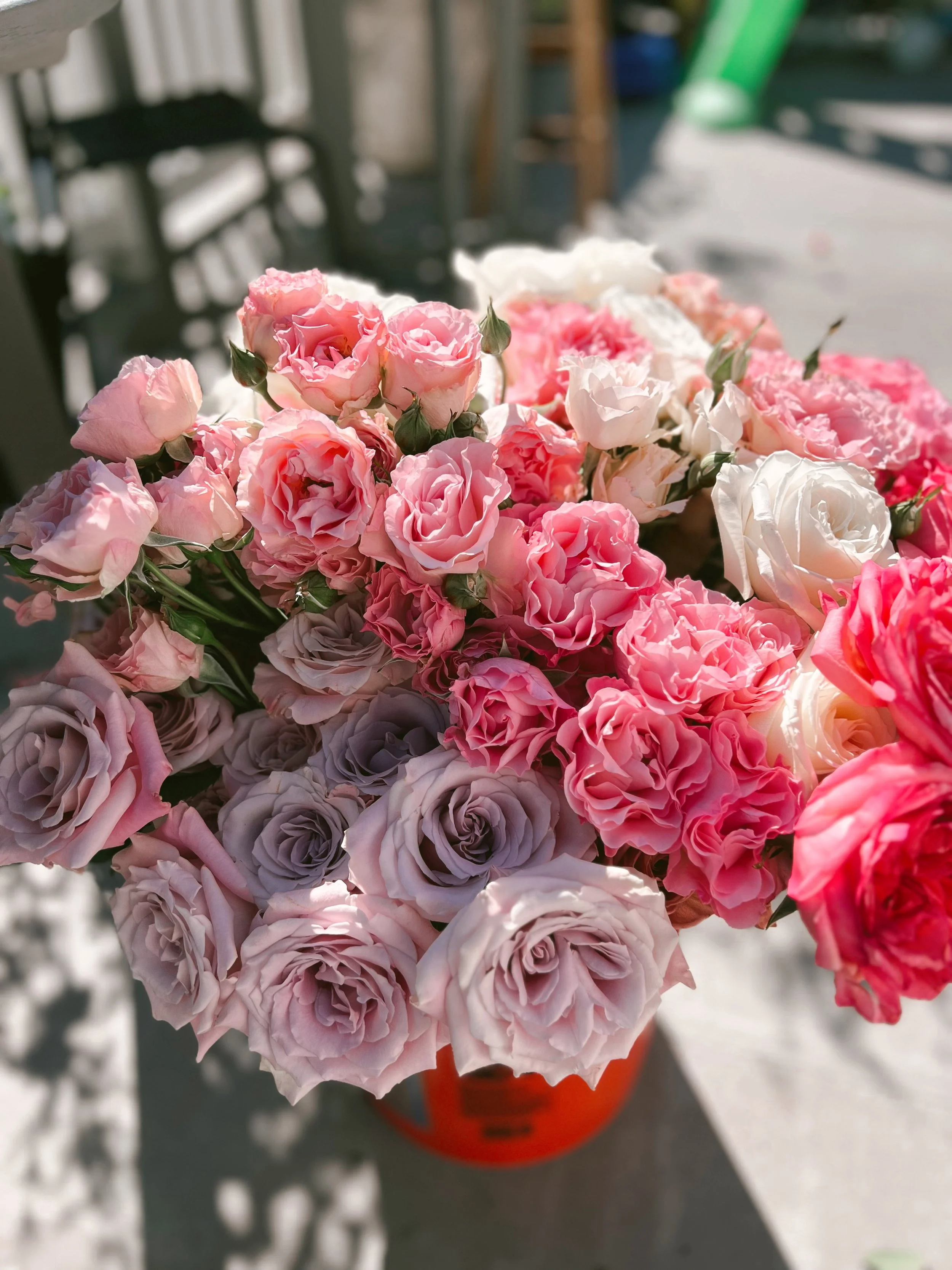 Bucket O Roses