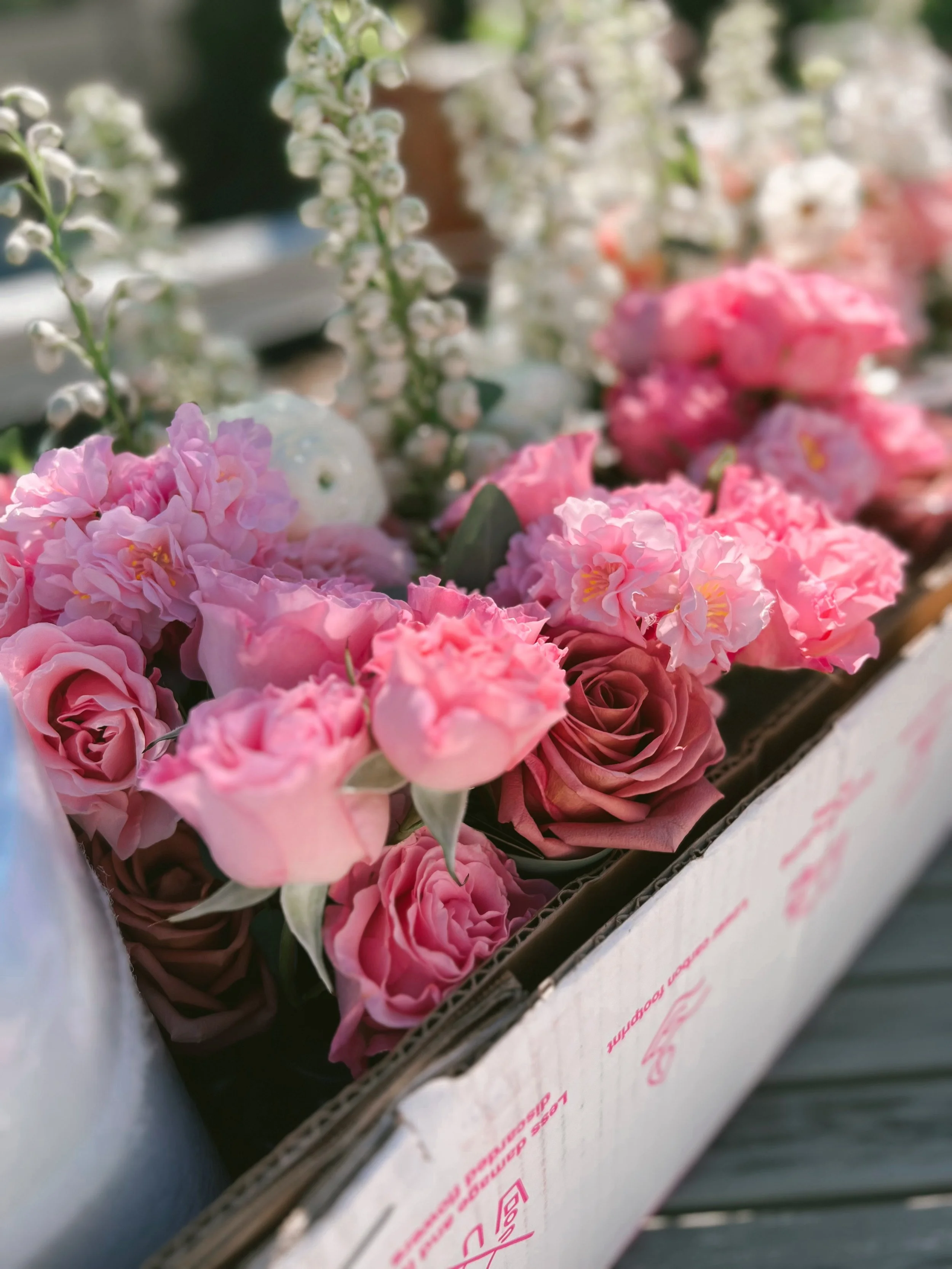 Pretty in Pink