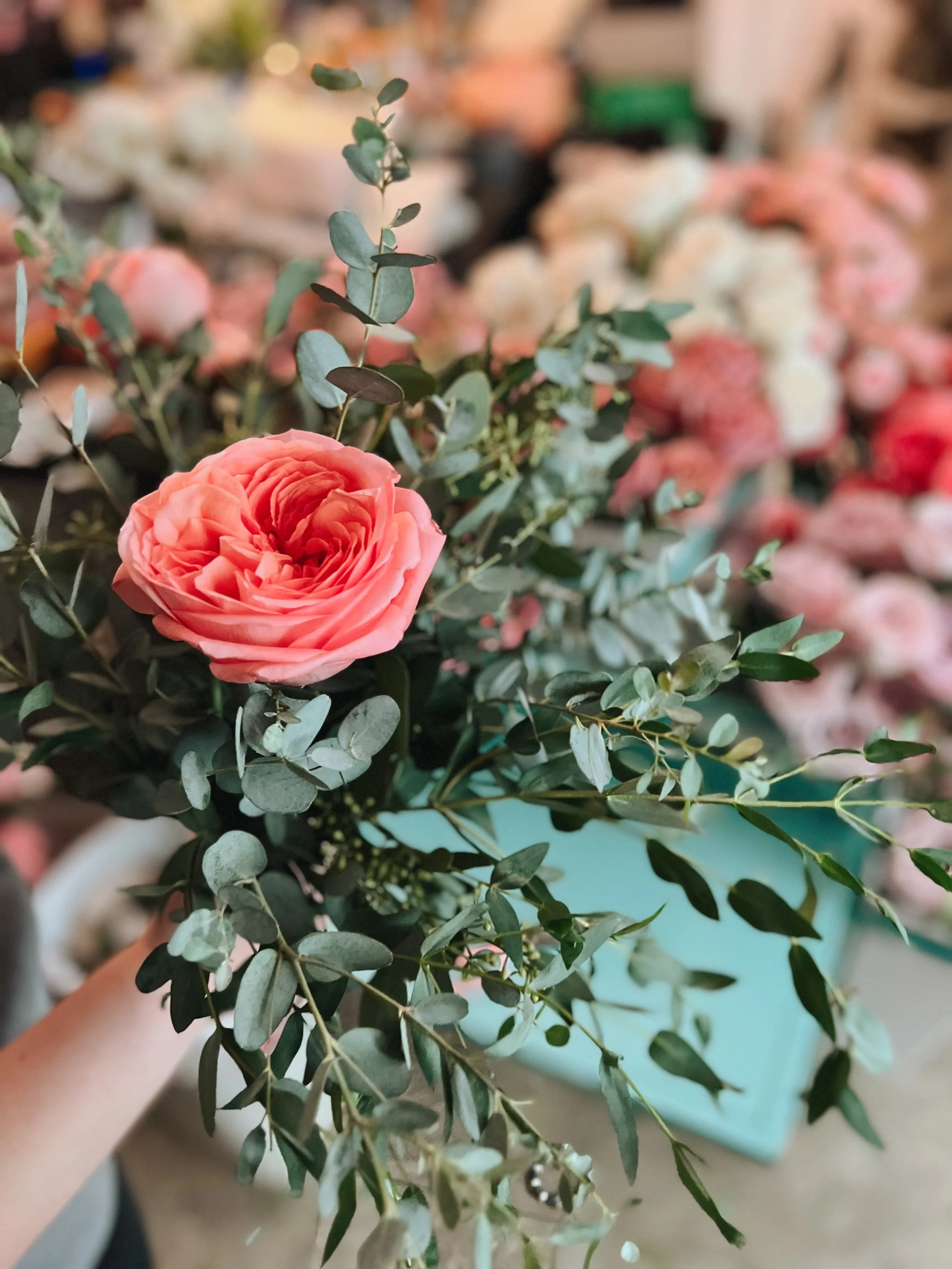 Rose