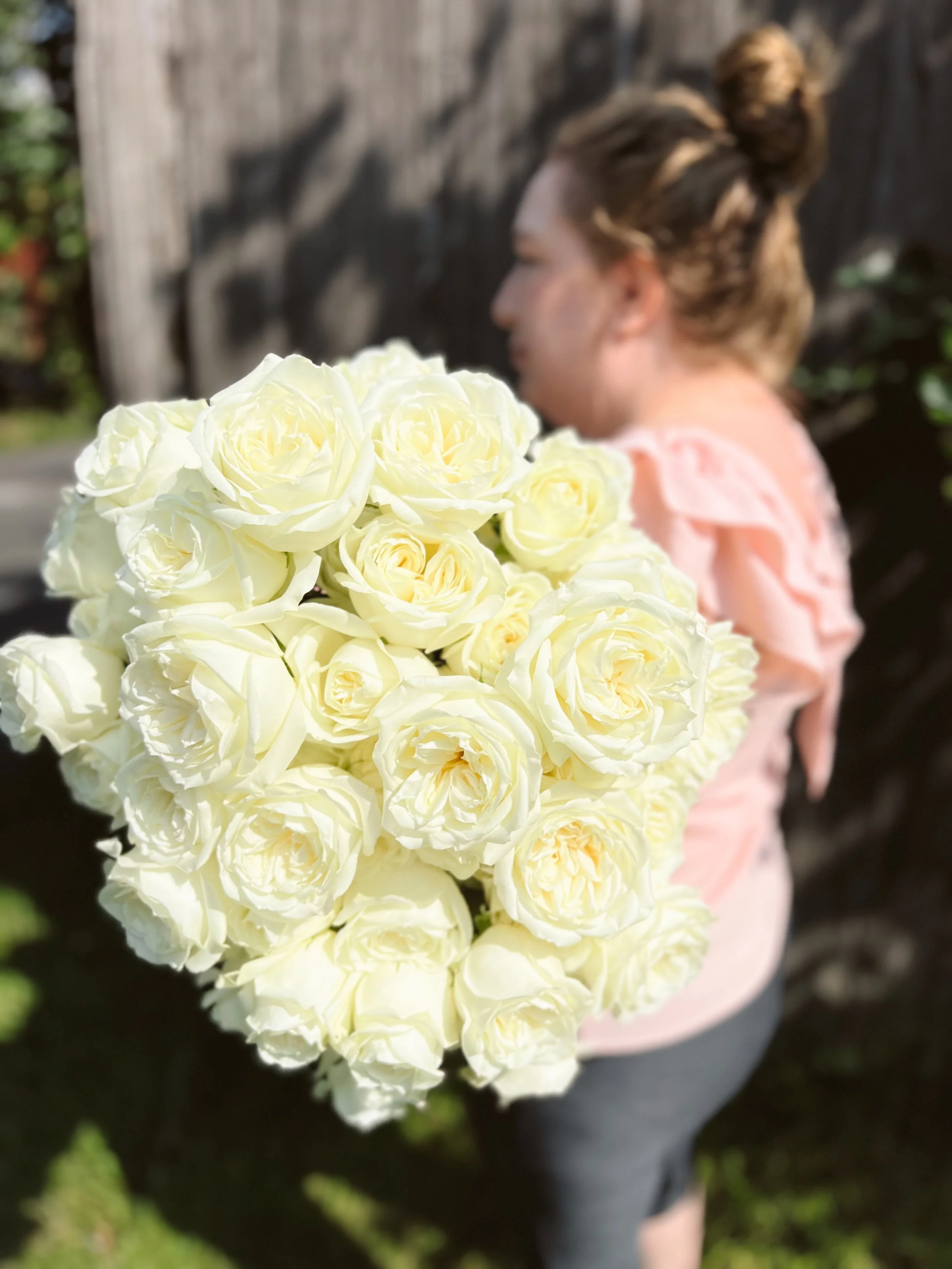 Roses Post Hydration