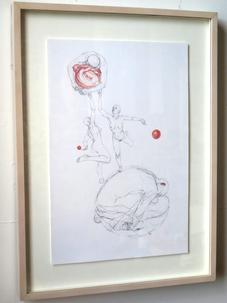 My Heart Is A Red Parrot, 2012 by Sol Kjok | Pencil, colored pencil | 16” L x 22” W
