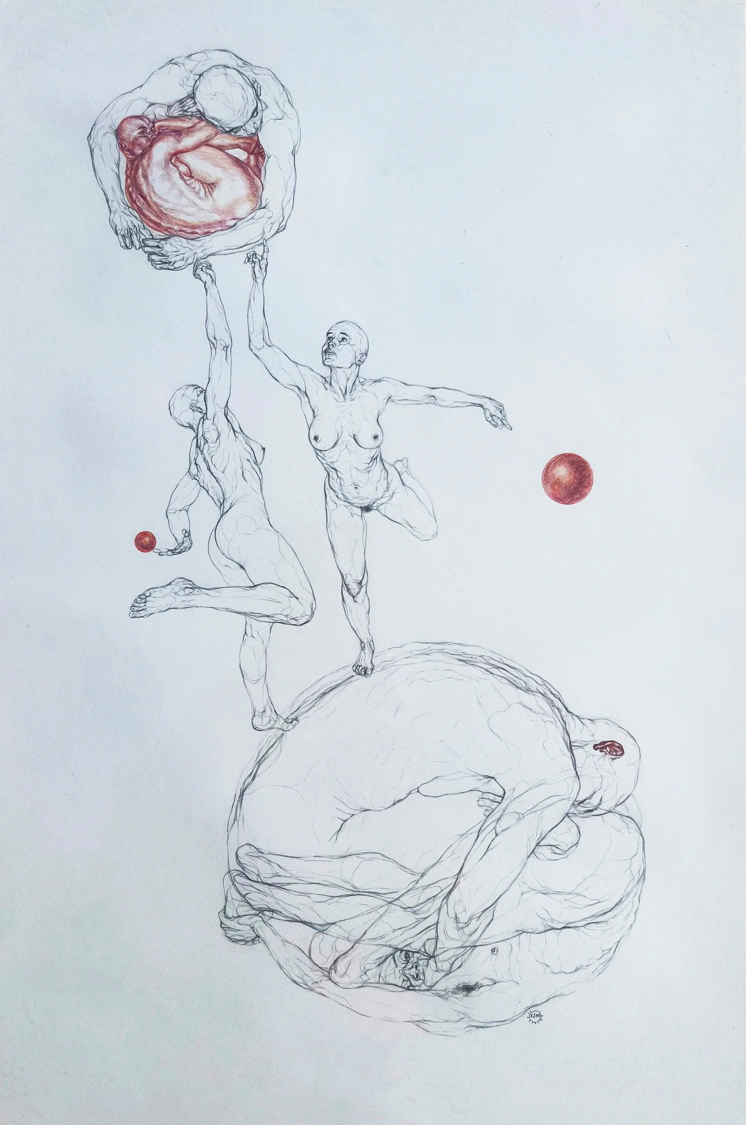 My Heart is a Red Parrot, 2014 by Sol Kjøk | Pencil and colored pencil on paper, 17” x 11” | Floated in white wooden frame, 22” x 16”