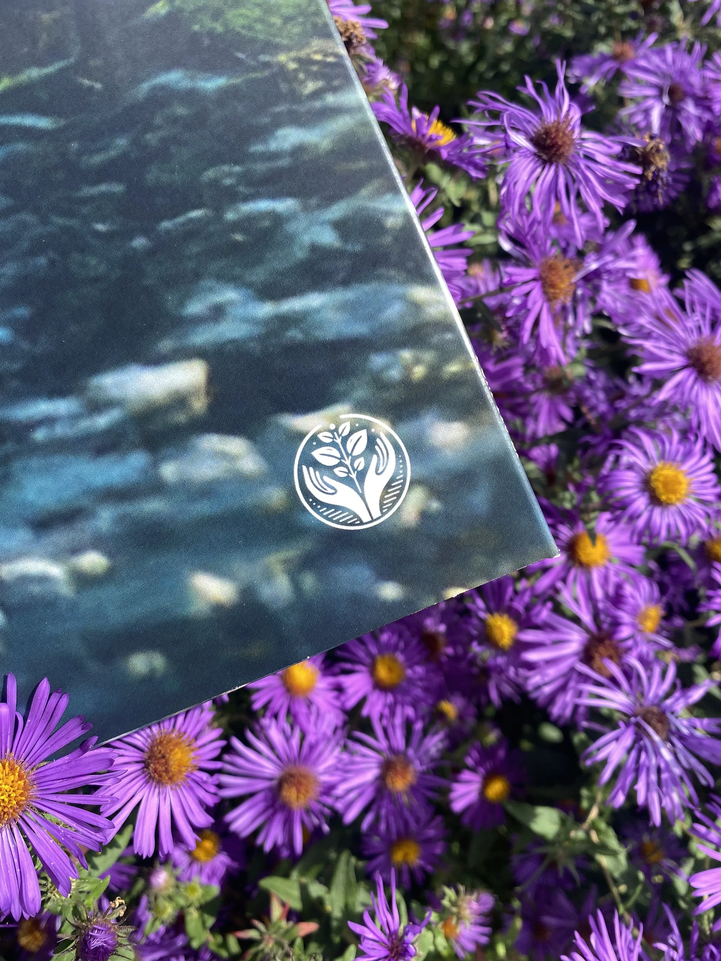 Close-up of a book or pamphlet with a logo of a hand holding a plant on the cover, partially obscured, laid on top of purple aster flowers.