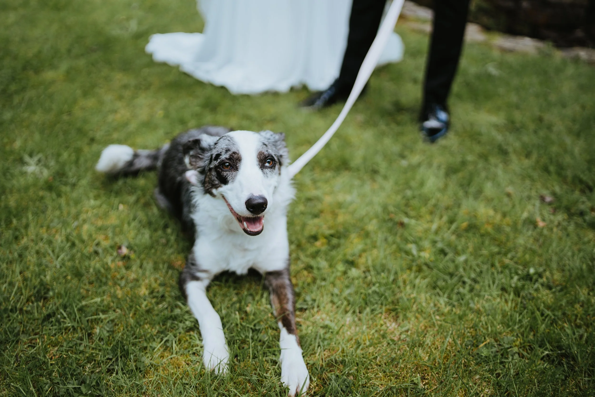 omagh gortin glens glen park estate wedding