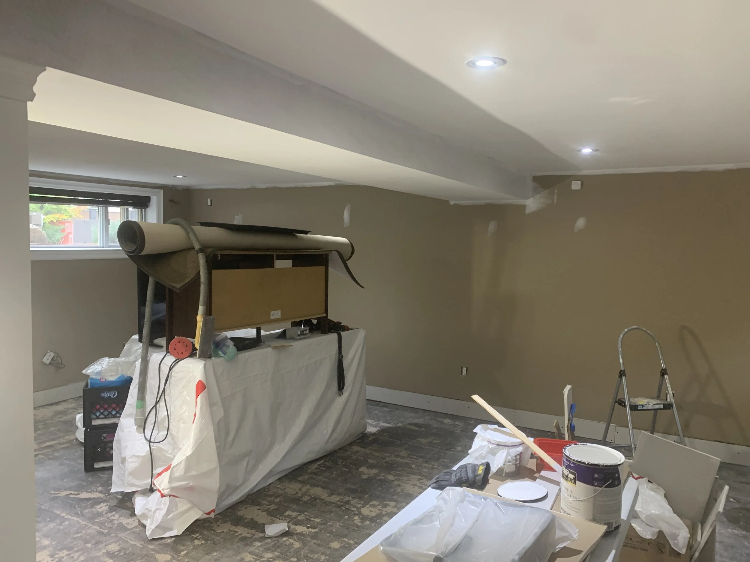 project_basement-reno-00002.jpeg