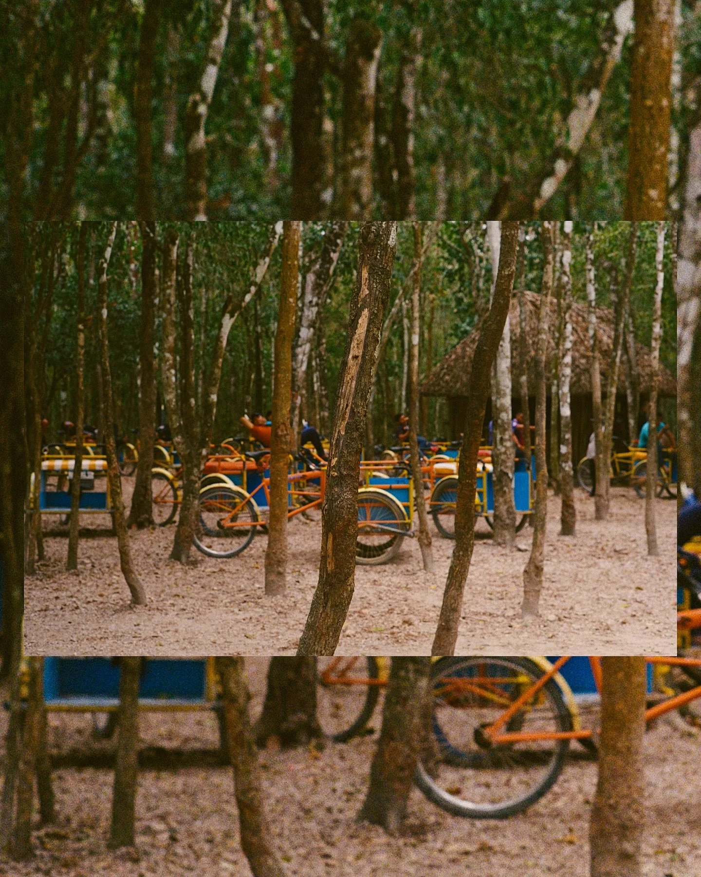 Horizontal, not vertical.

I am about 90% sure I&rsquo;ve let Instagram dictate how I take photos and I&rsquo;m 100% worse for it. 
I have sold my photographic soul to the algorithm devil and started shooting mainly vertical stills so that I can get 