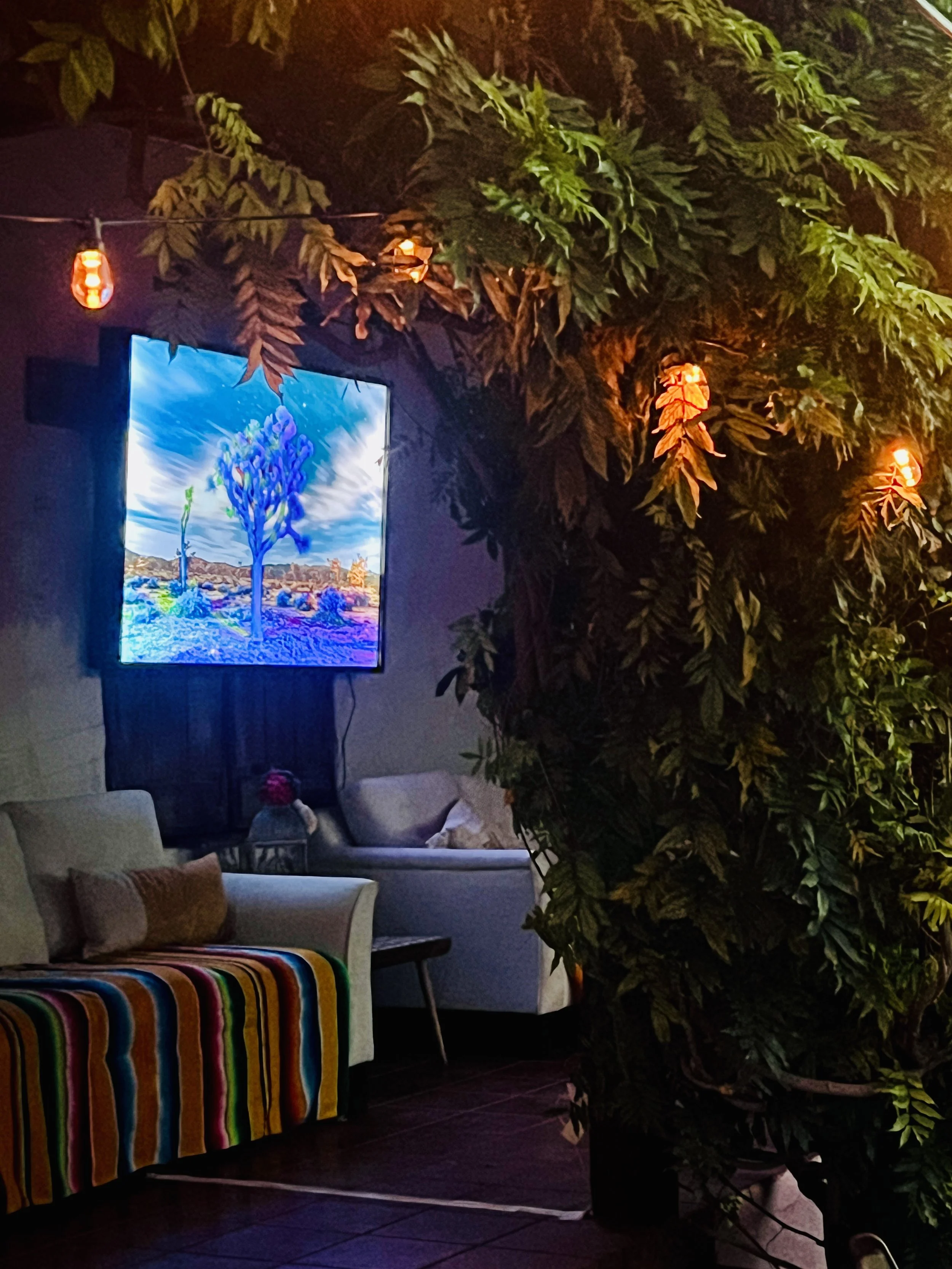VIP Lounge Paleta Festival