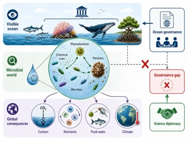 Decisions in the Dark: Microbial Behavior and the Governance Gap in Our Oceans