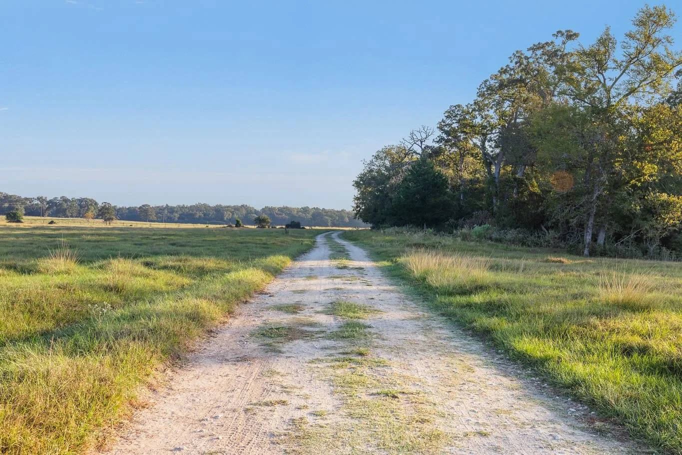 Early morning glow, green pastures, ponds, trails and pretty trees! What else could you need?

Listed by @jmillsrealtor 

#land #landforsale #farmland #huntingland #realestate