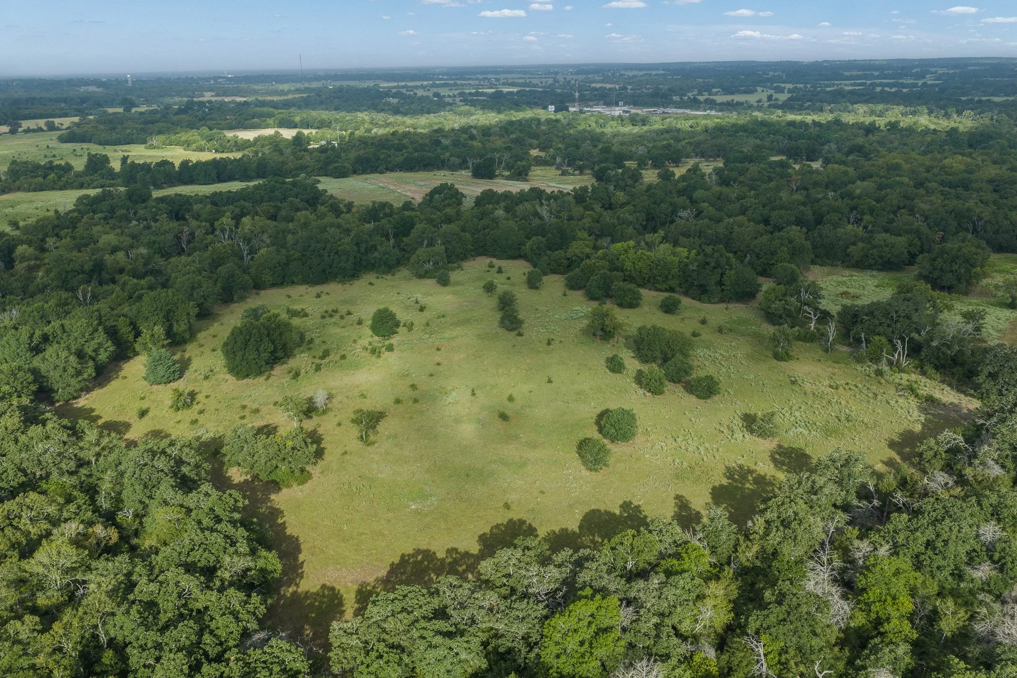Skycrafted Imaging_Real Estate Media Production_Central & Southeast Texas_Aerial view of a green landscape with trees, open fields, and a distant city skyline under a partly cloudy sky.