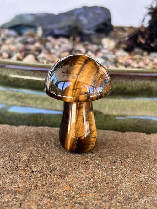 Tigers Eye Mushroom