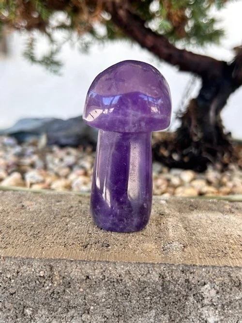 Amethyst Mushroom