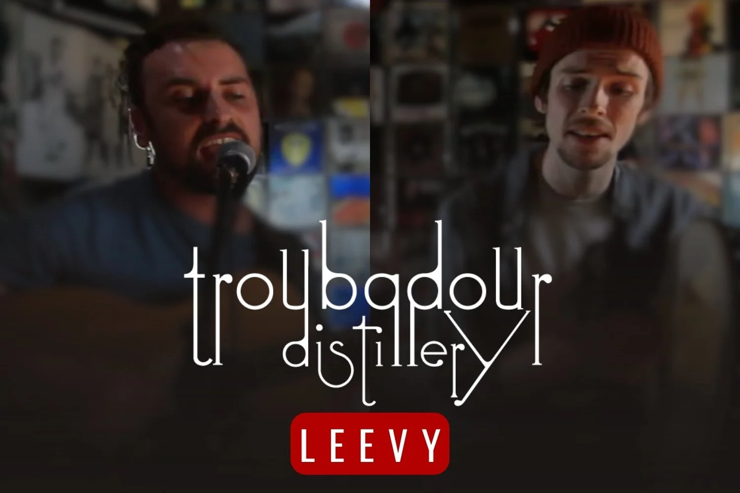 Leevy