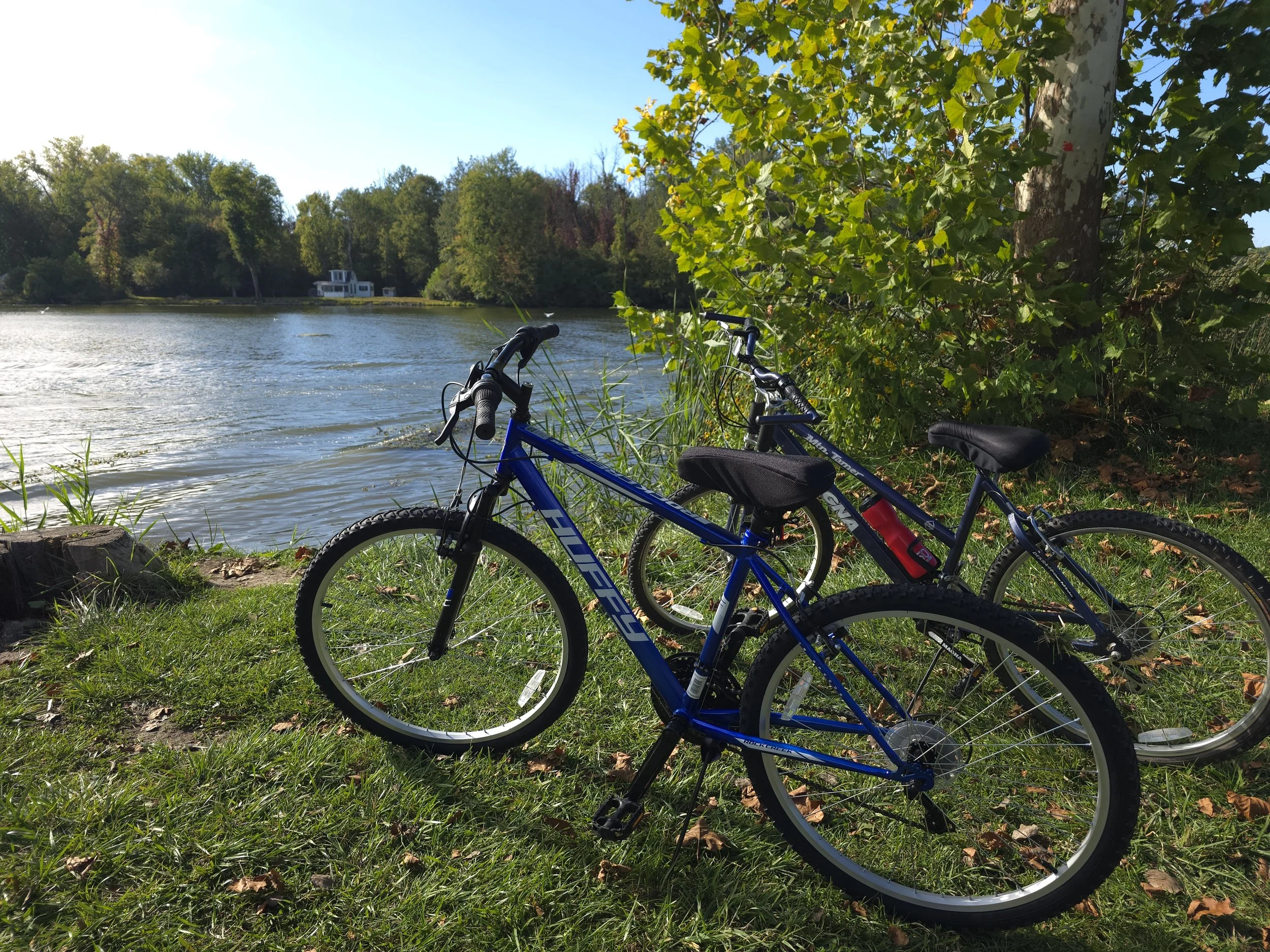 Two blue bicycles resting by the edge of a riverbank beneath green leafy trees, with a house visible on the opposite shore during daytime.