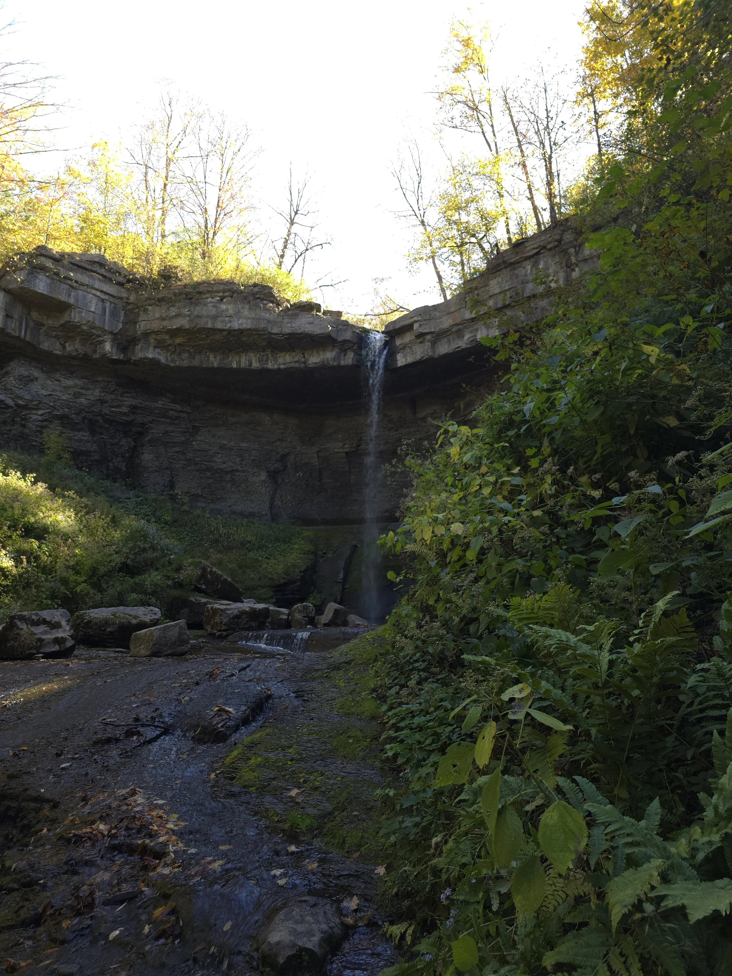 A small waterfall flowing over rocks and a cliff, surrounded by green foliage and trees with some autumn leaves, under a bright sky.