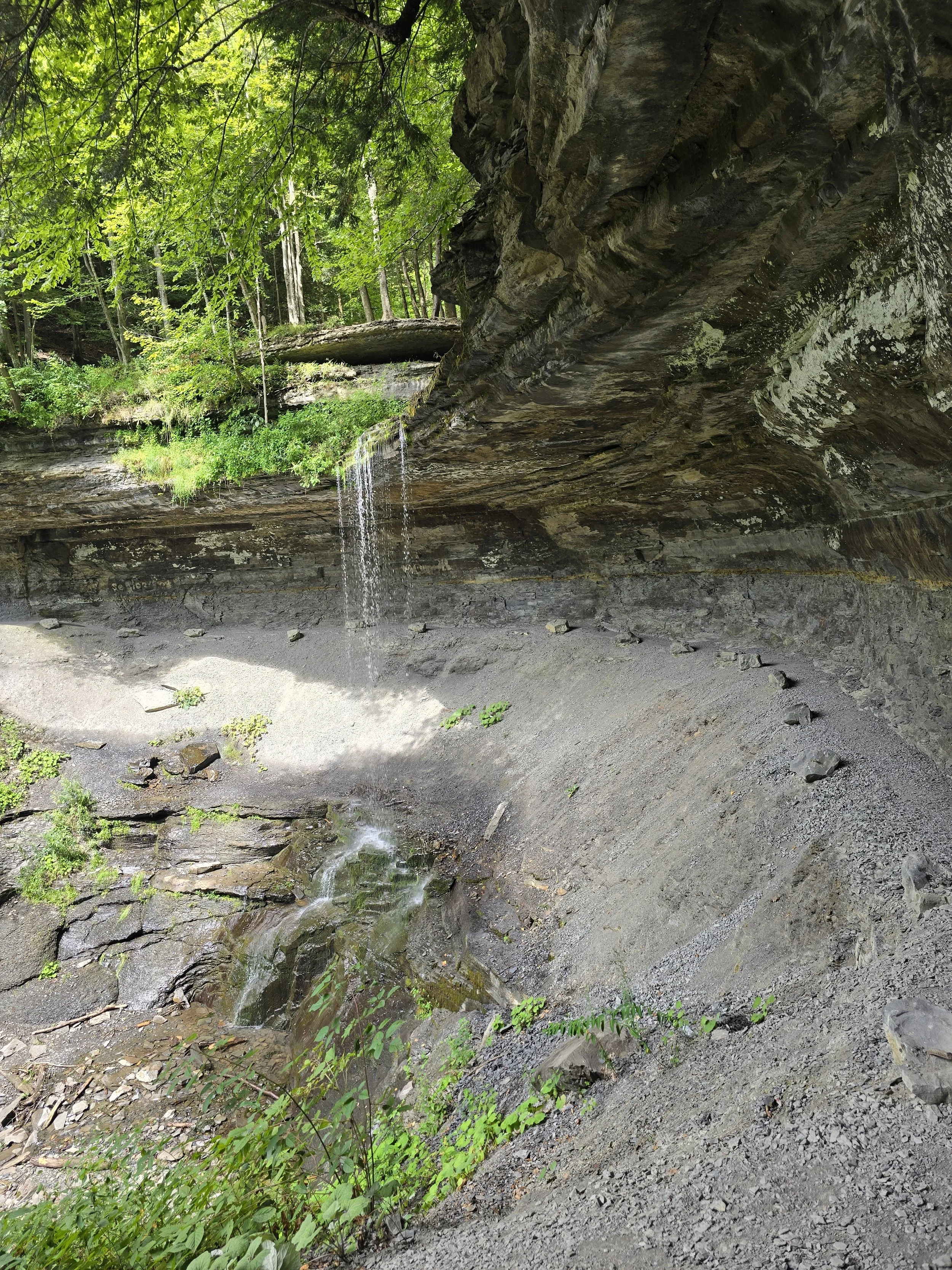 A small waterfall flowing over rocks in a forested area with green and leafy trees.