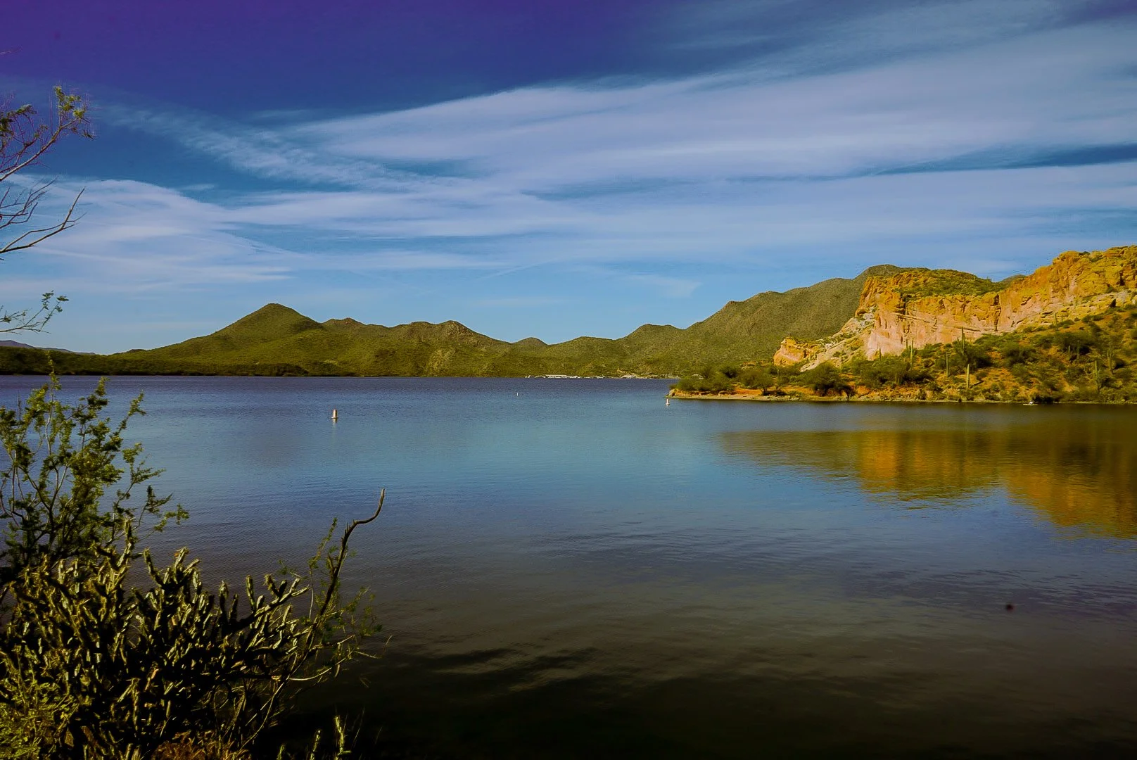 Arizona