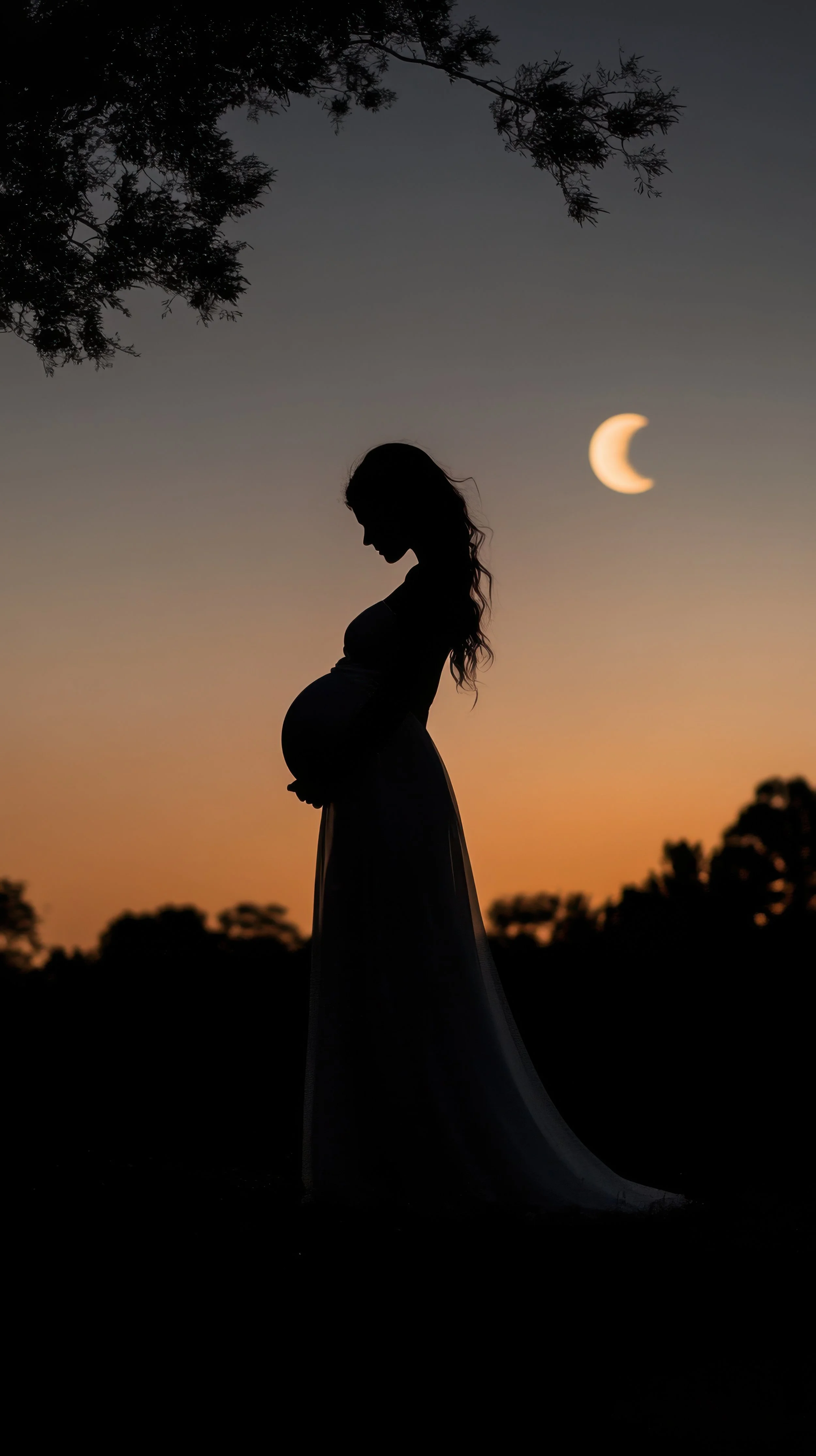 Silhouette of a pregnant woman standing outdoors at sunset or dusk, with a crescent moon in the sky and trees in the background.