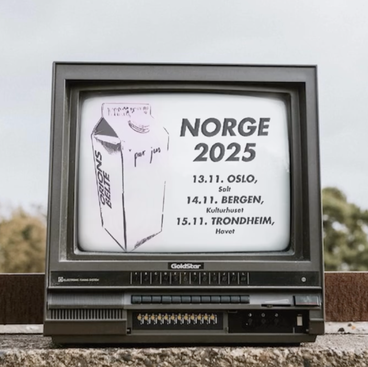 ORIONS BELTE CONCERT