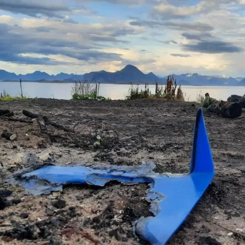 PANEL: THE FAILED GLOBAL PLASTICS DEAL