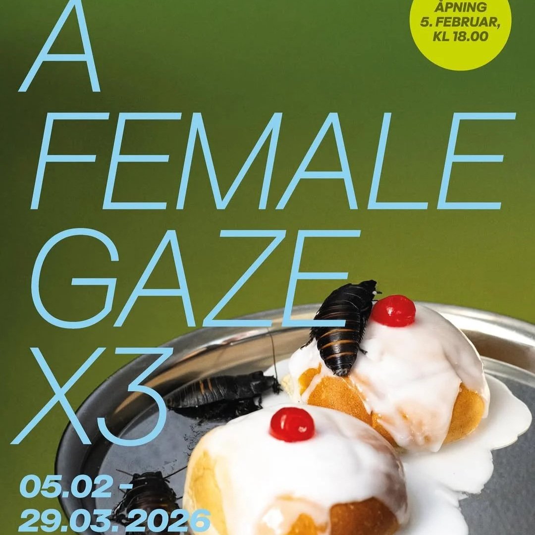 EXHIBITION OPENING: A FEMALE GAZE
