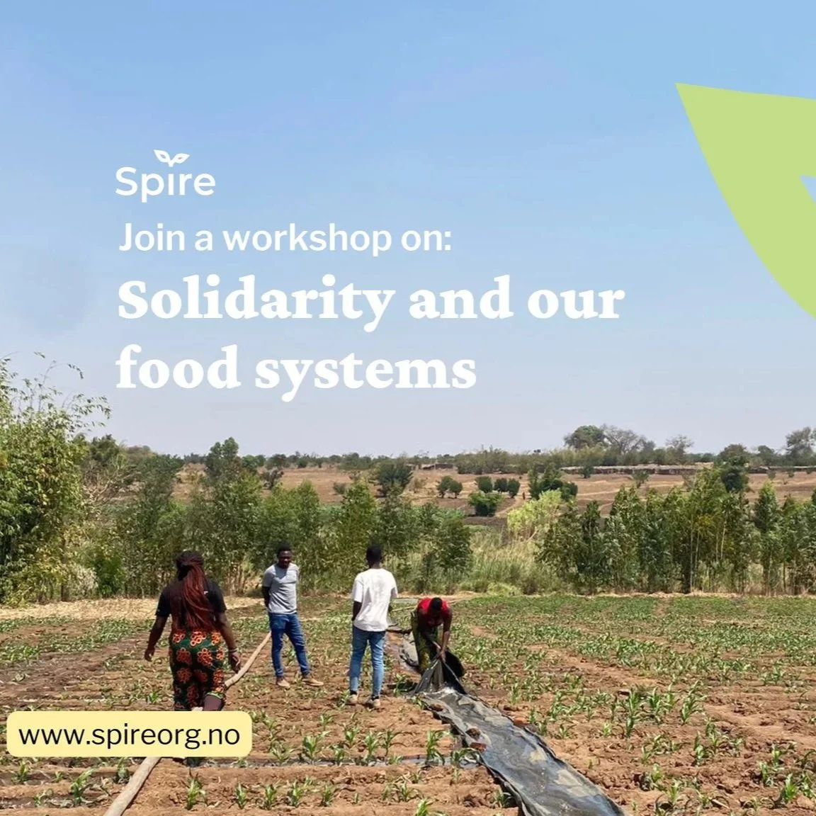 SOLIDARITY & FOOD SYSTEMS WORKSHOP