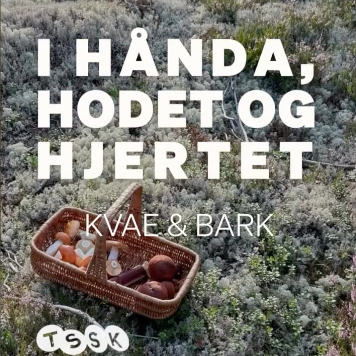 EXHIBITION OPENING: KVAE & BARK