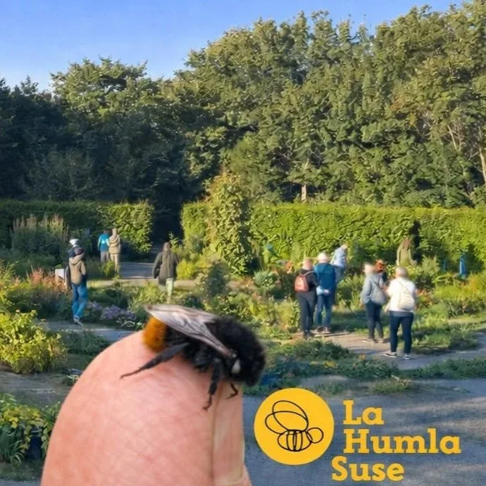 BEES @ RINGVE