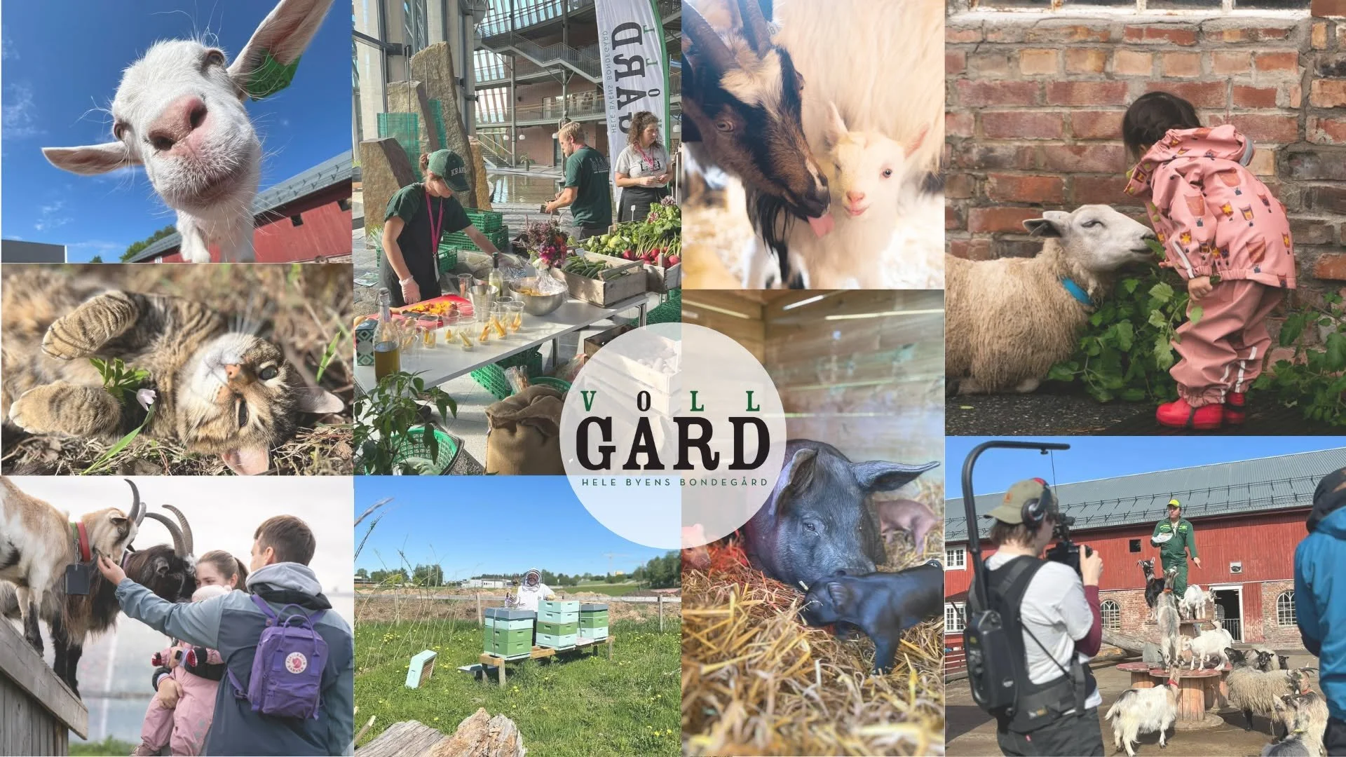 OPEN FARM @ VOLL GÅRD