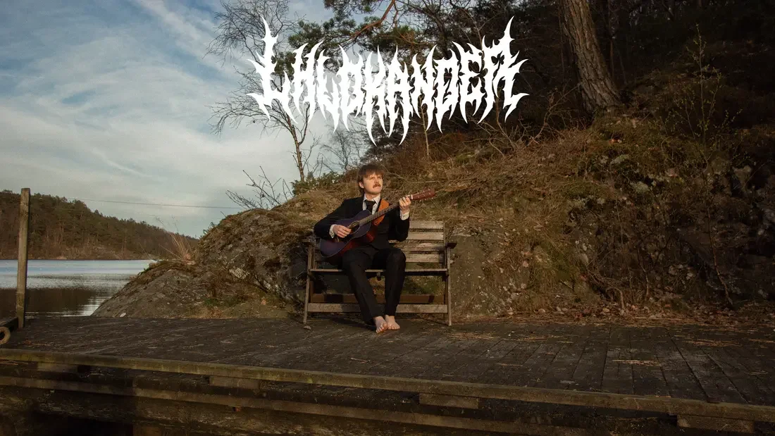 🎵 LH LOKANDER @ ANTIKVARIATET