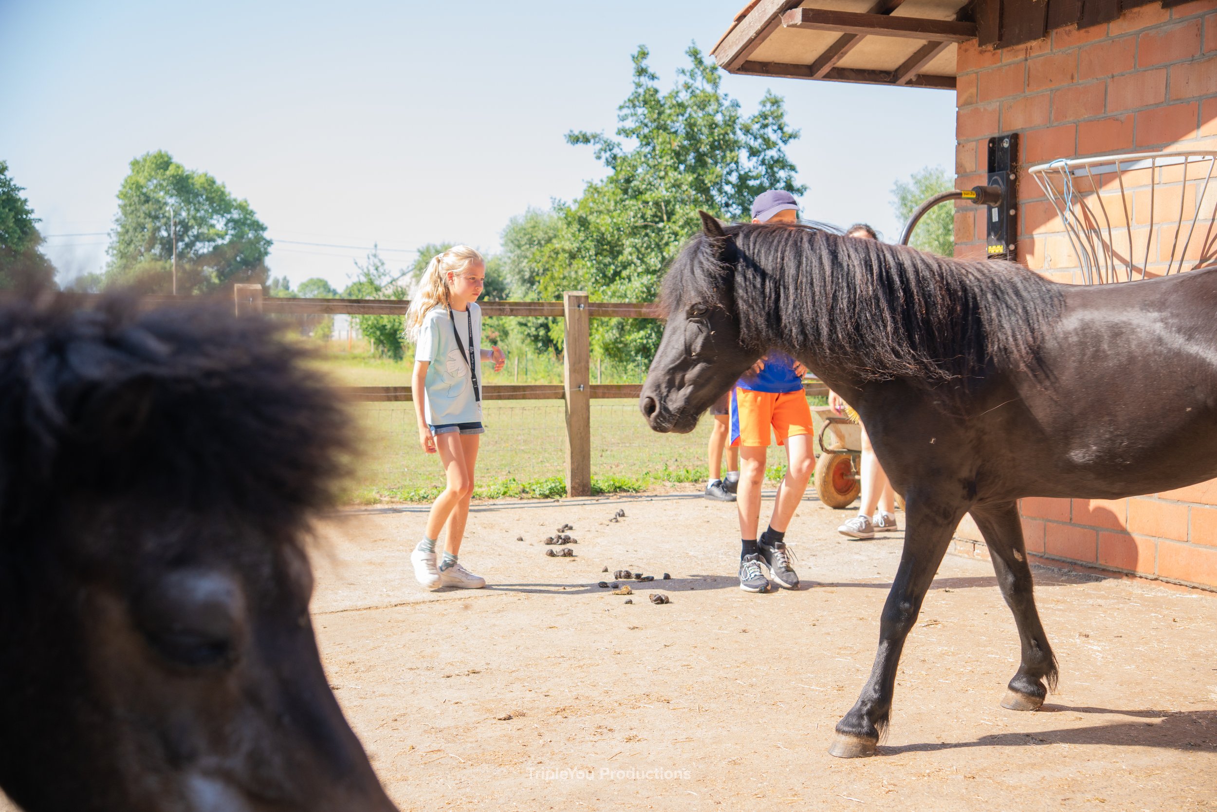 TripleYou Productions_-047.jpg