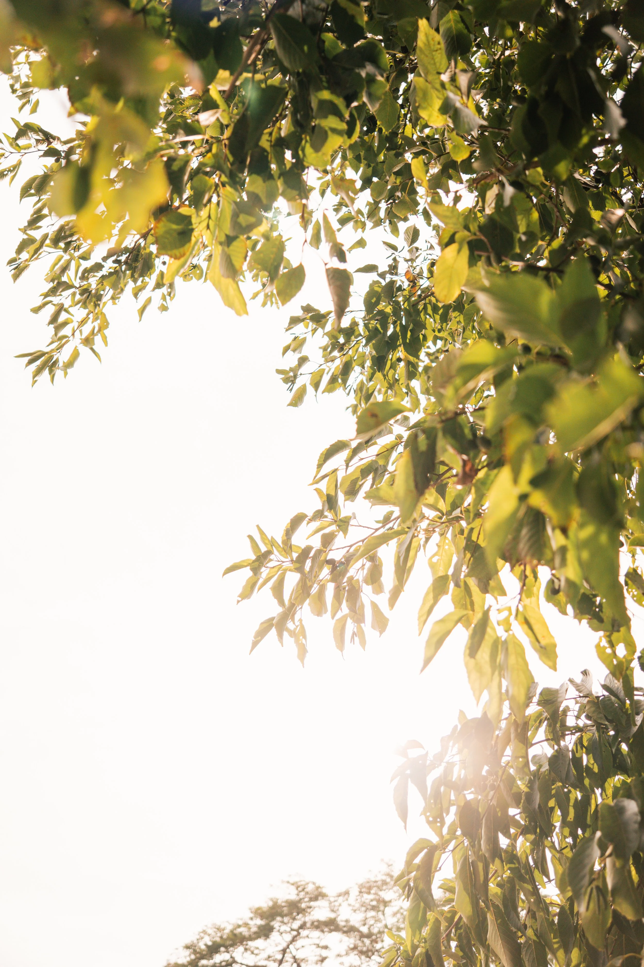 TripleYou Productions_-087.jpg