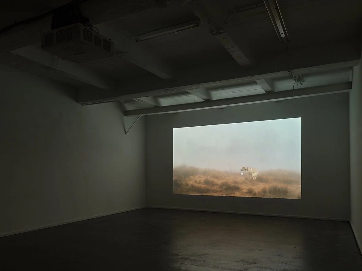 2026 03 05 KETELEER_10595.jpg