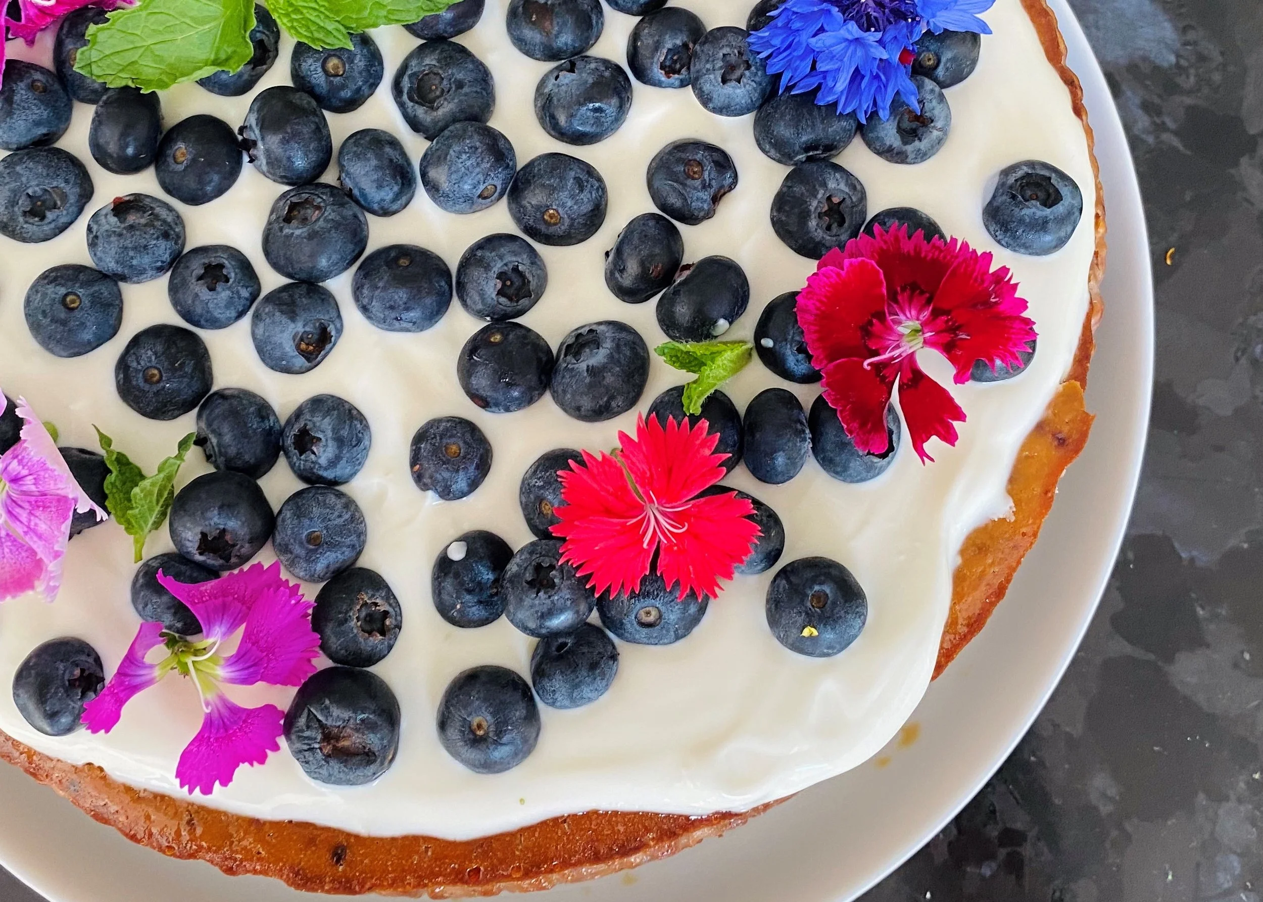 Blueberry Cheesecake