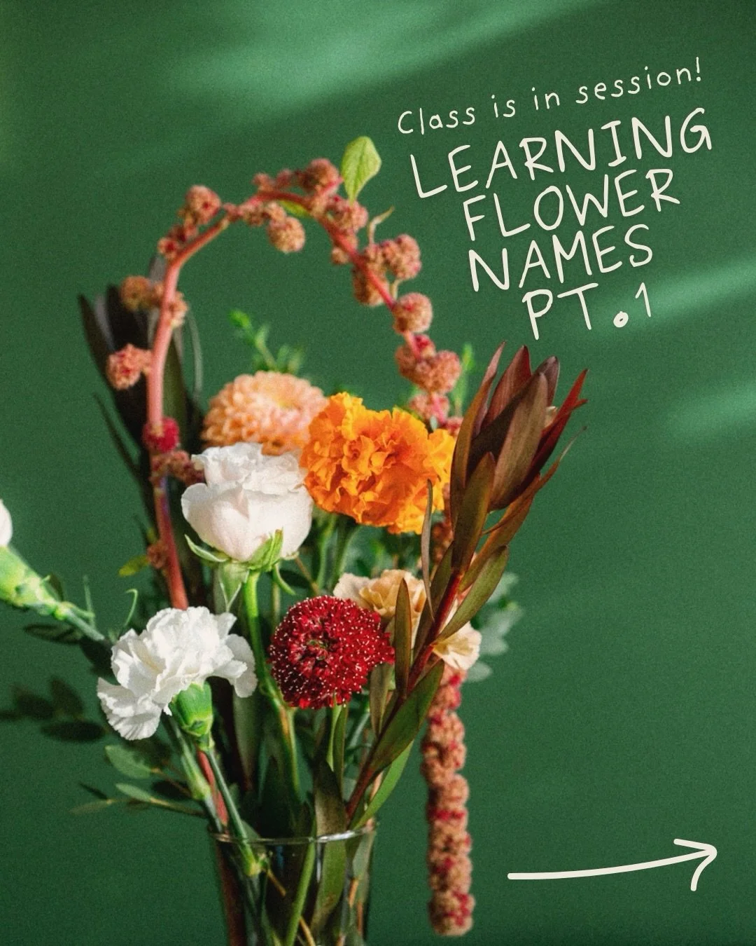 Learning flower names pt. 1!! 

You can be honest, how many did you already know? 

#sfflorist #sfflowermart #floralarrangements